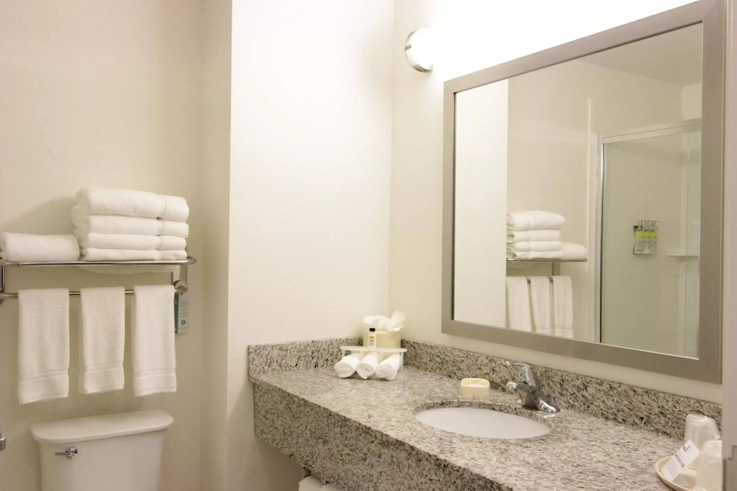 Bathroom in Holiday Inn Express and Suites Montgomery, an IHG Hotel