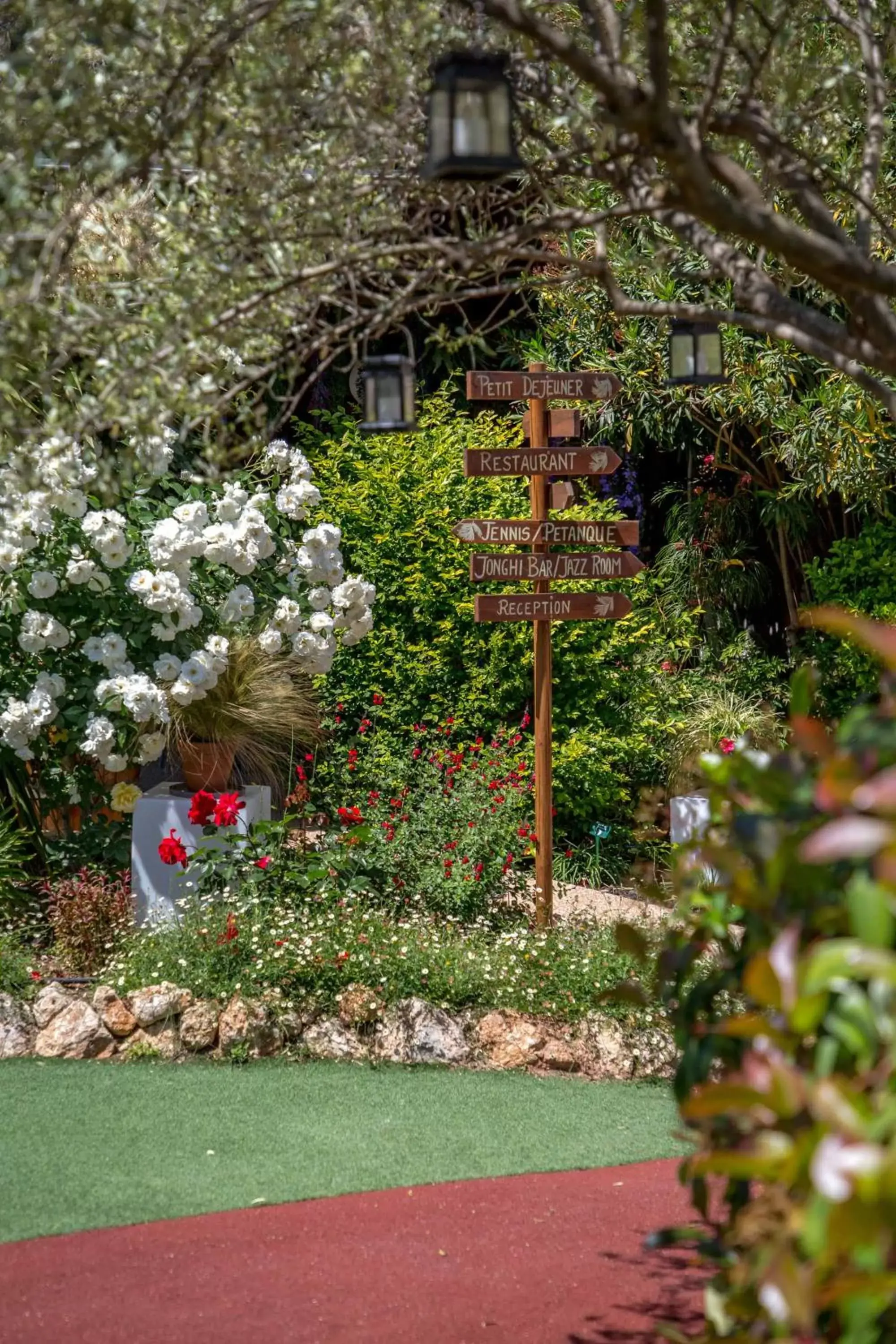 Garden in Les Pins Blancs en Provence