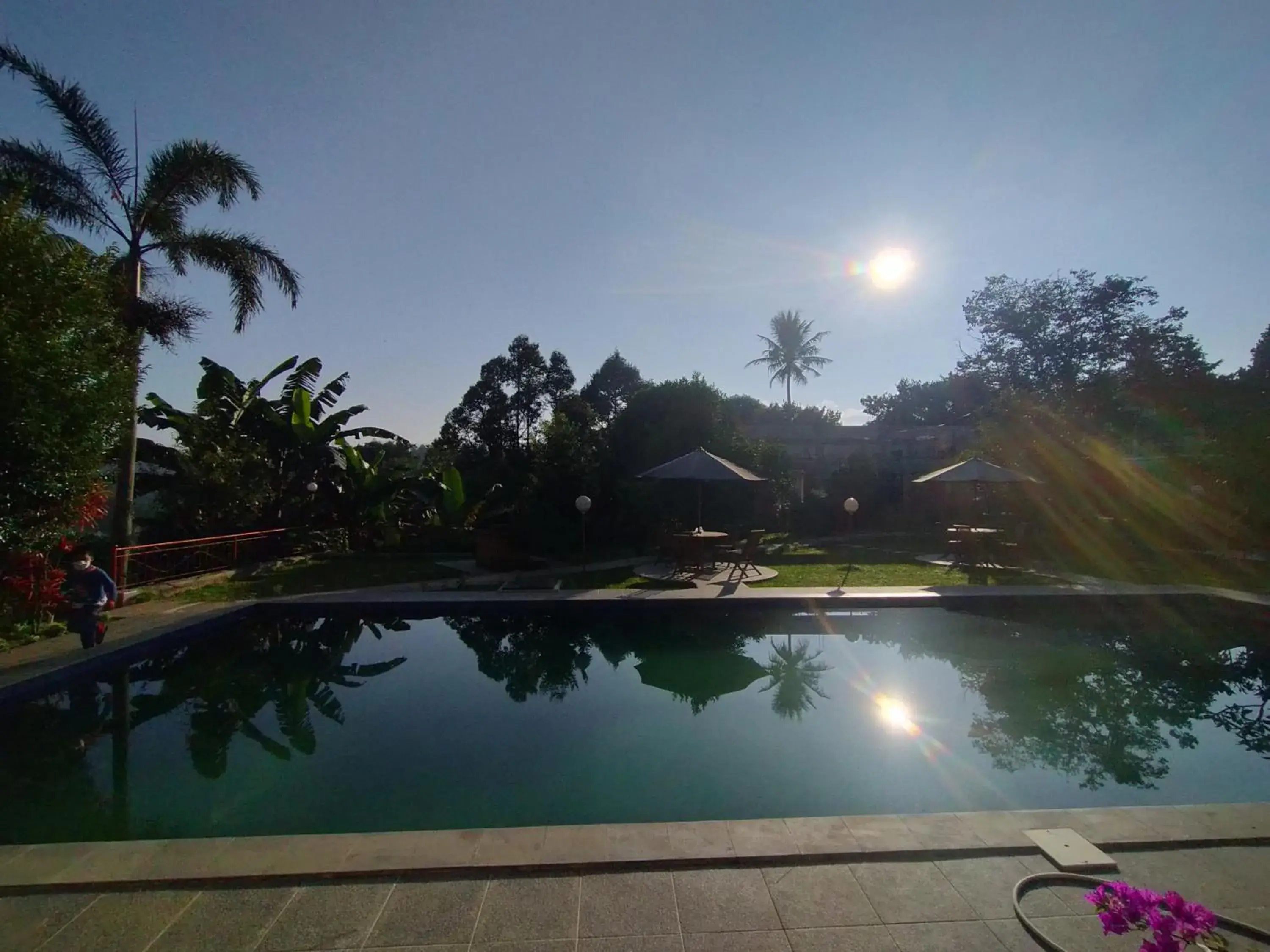 Swimming Pool in Villa Batu Tua Puncak