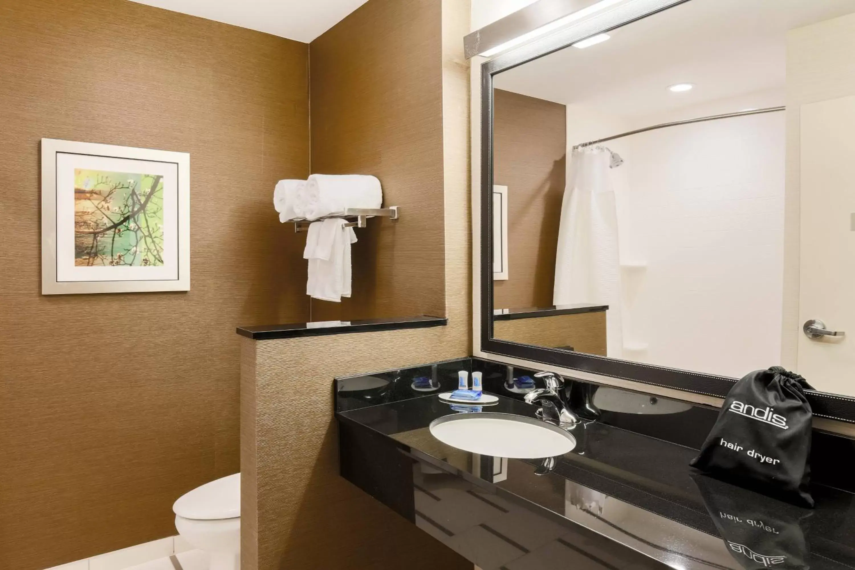 Bathroom in Fairfield Inn & Suites by Marriott Cotulla