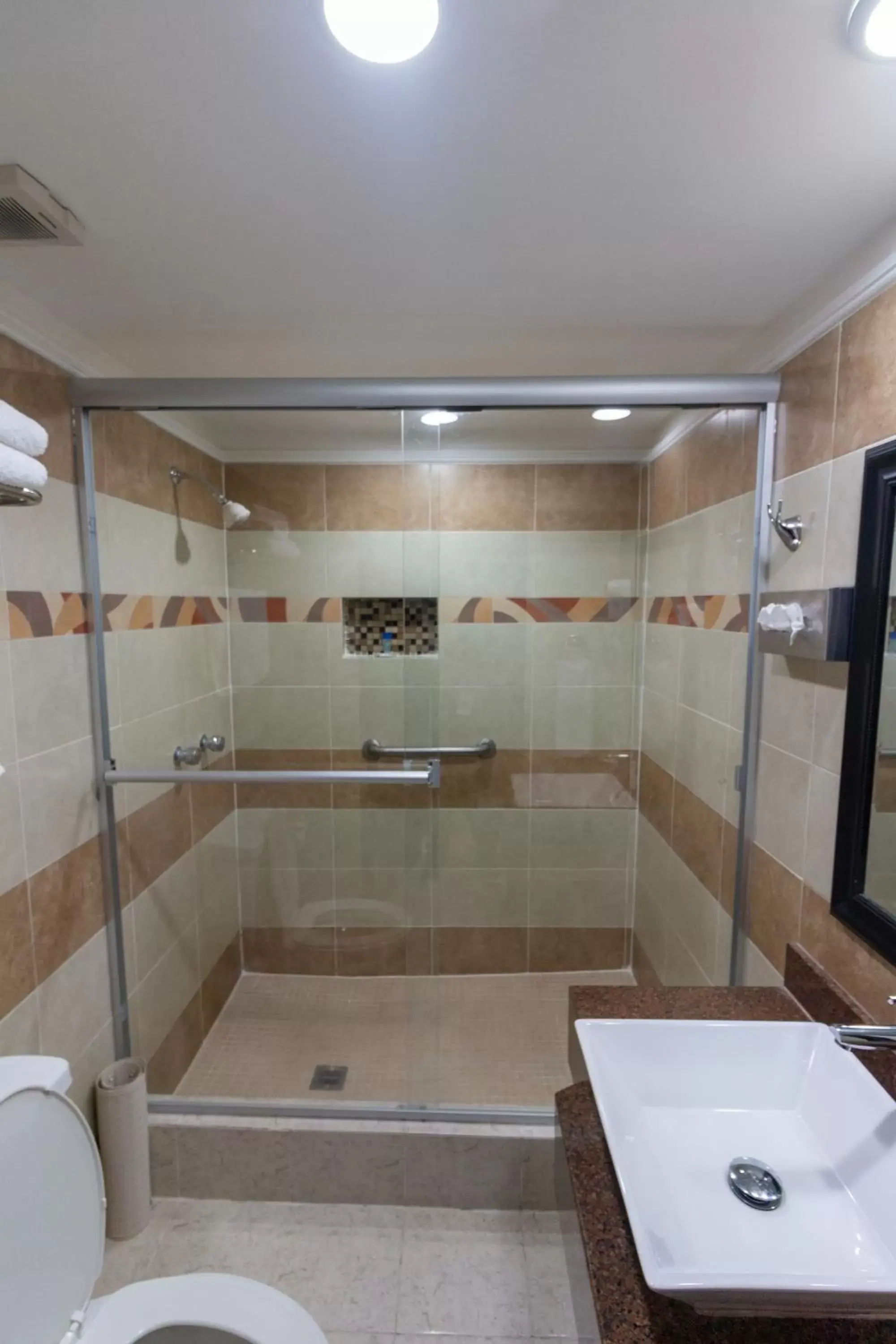 Bathroom in Best Western Hotel Plaza Matamoros