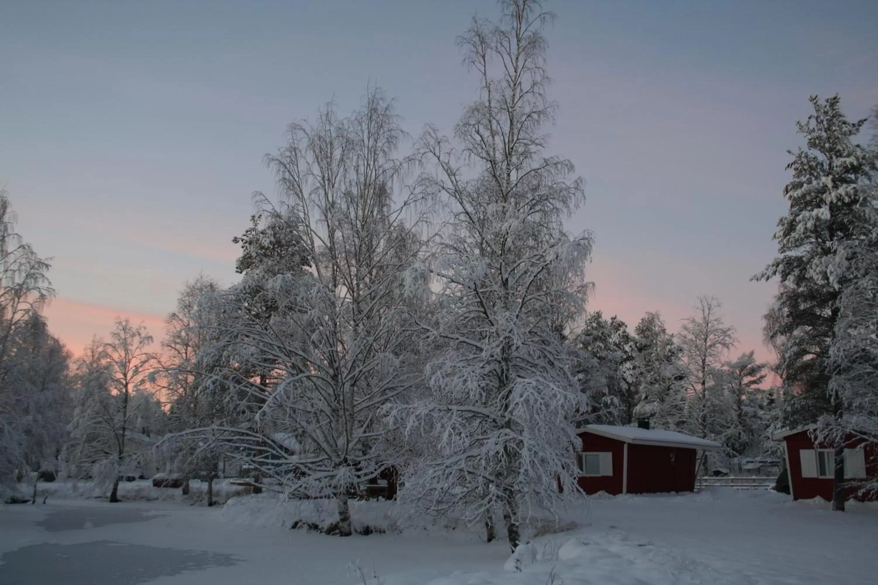 Other, Winter in Motelli Rovaniemi