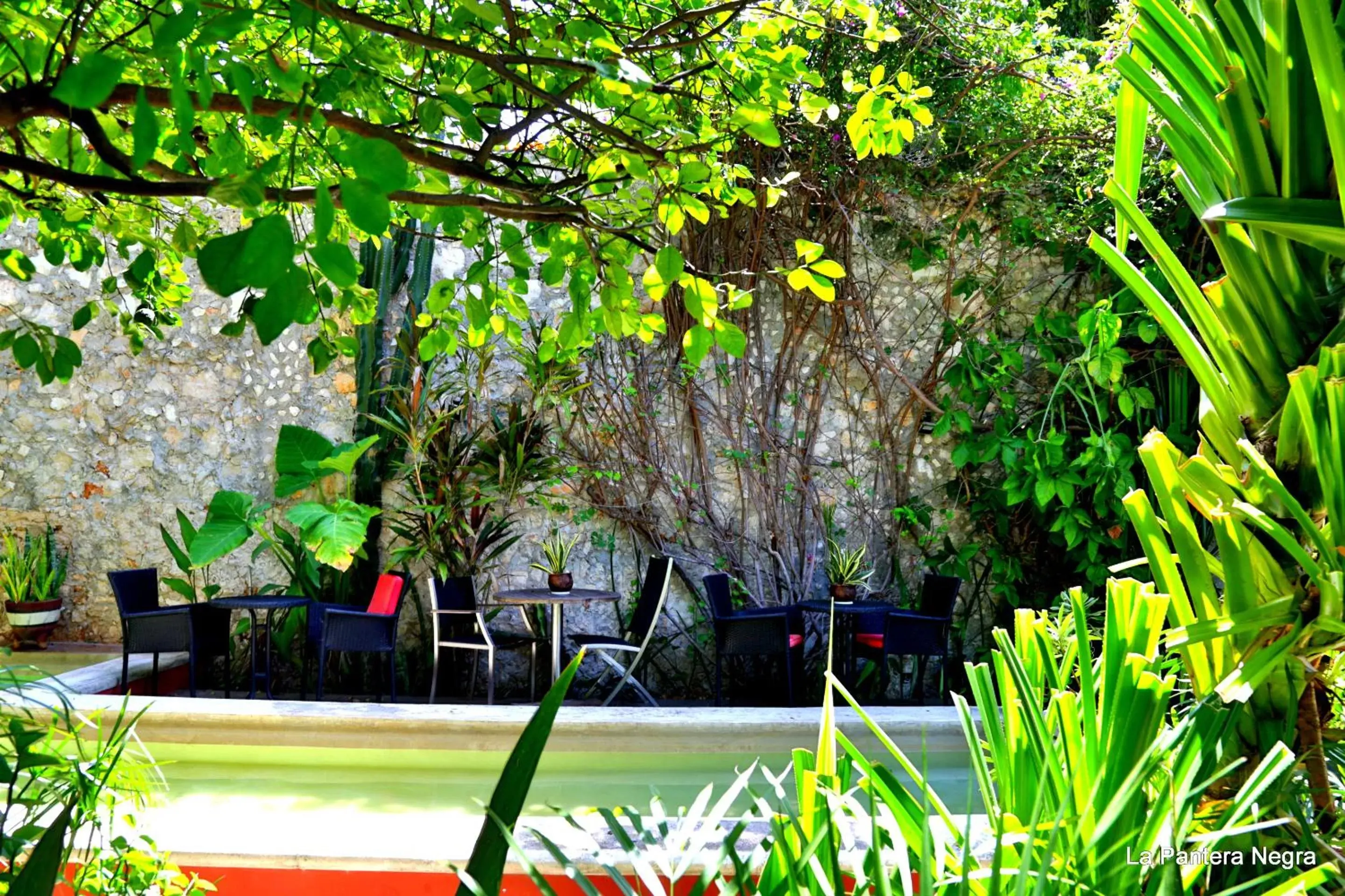 Garden, Swimming Pool in La Pantera Negra