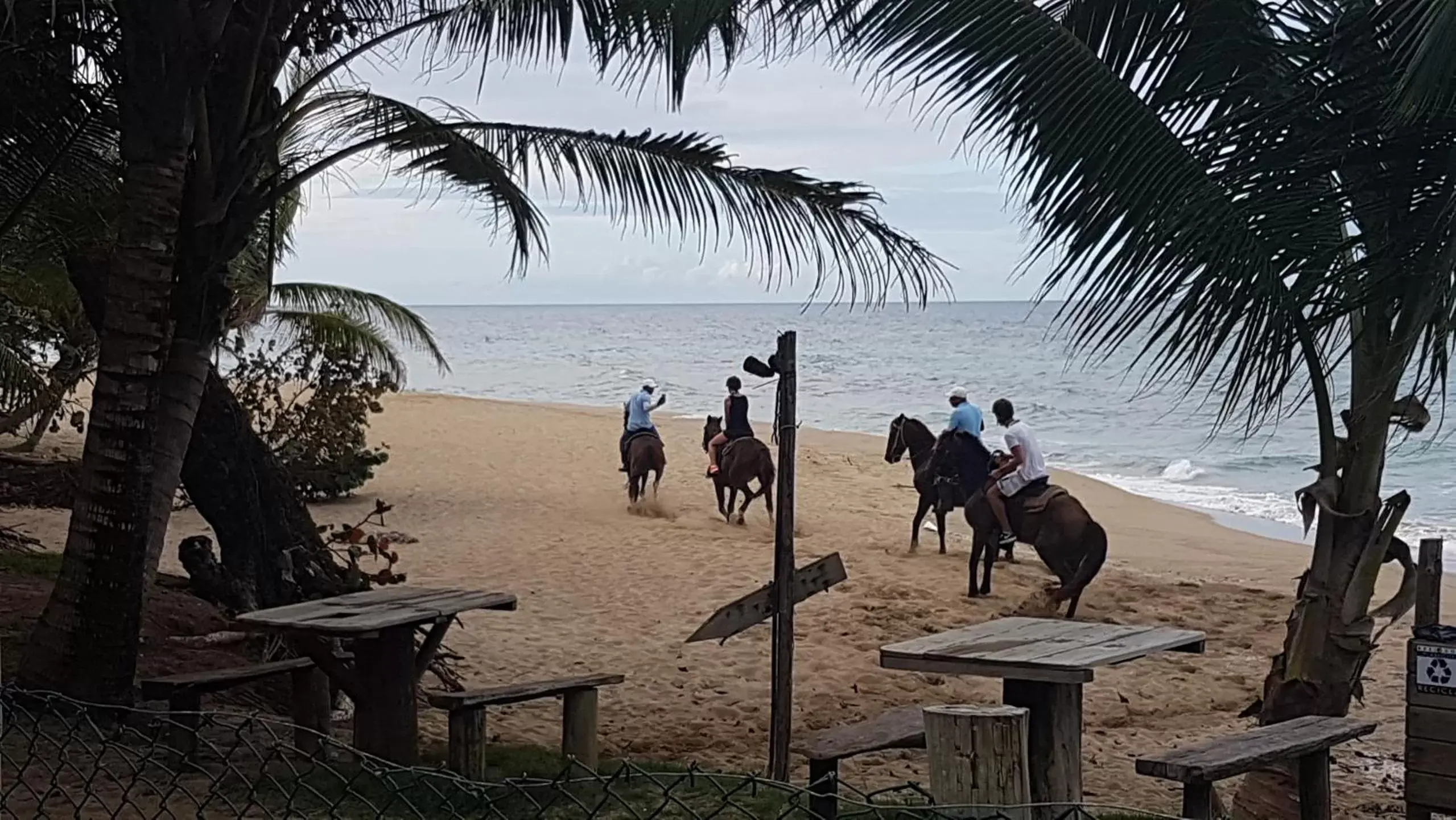 Horse-riding, Beach in Cabarete Maravilla Eco Lodge Boutique Beach Surf & Kite