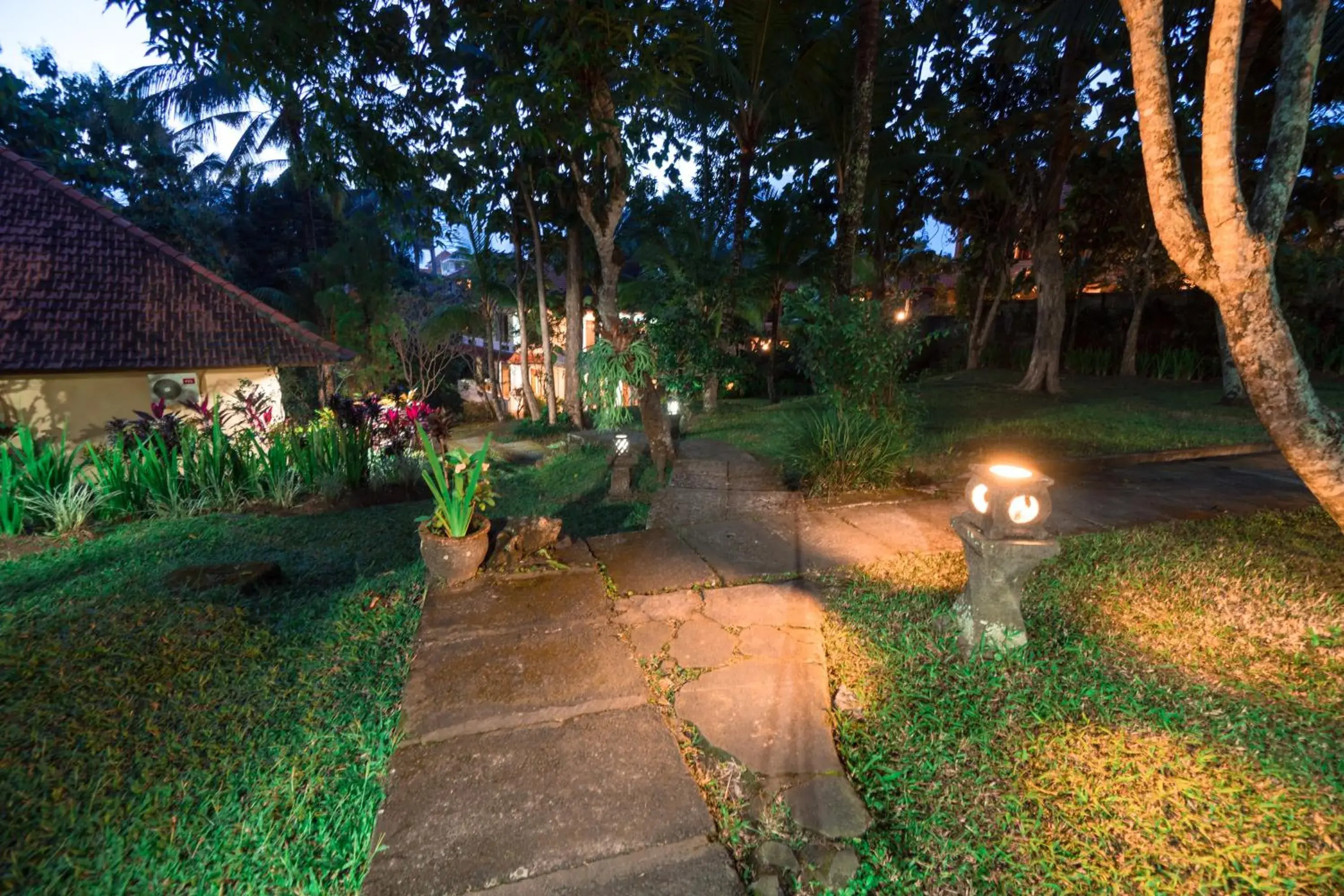 Natural landscape, Garden in Argasoka Bungalows