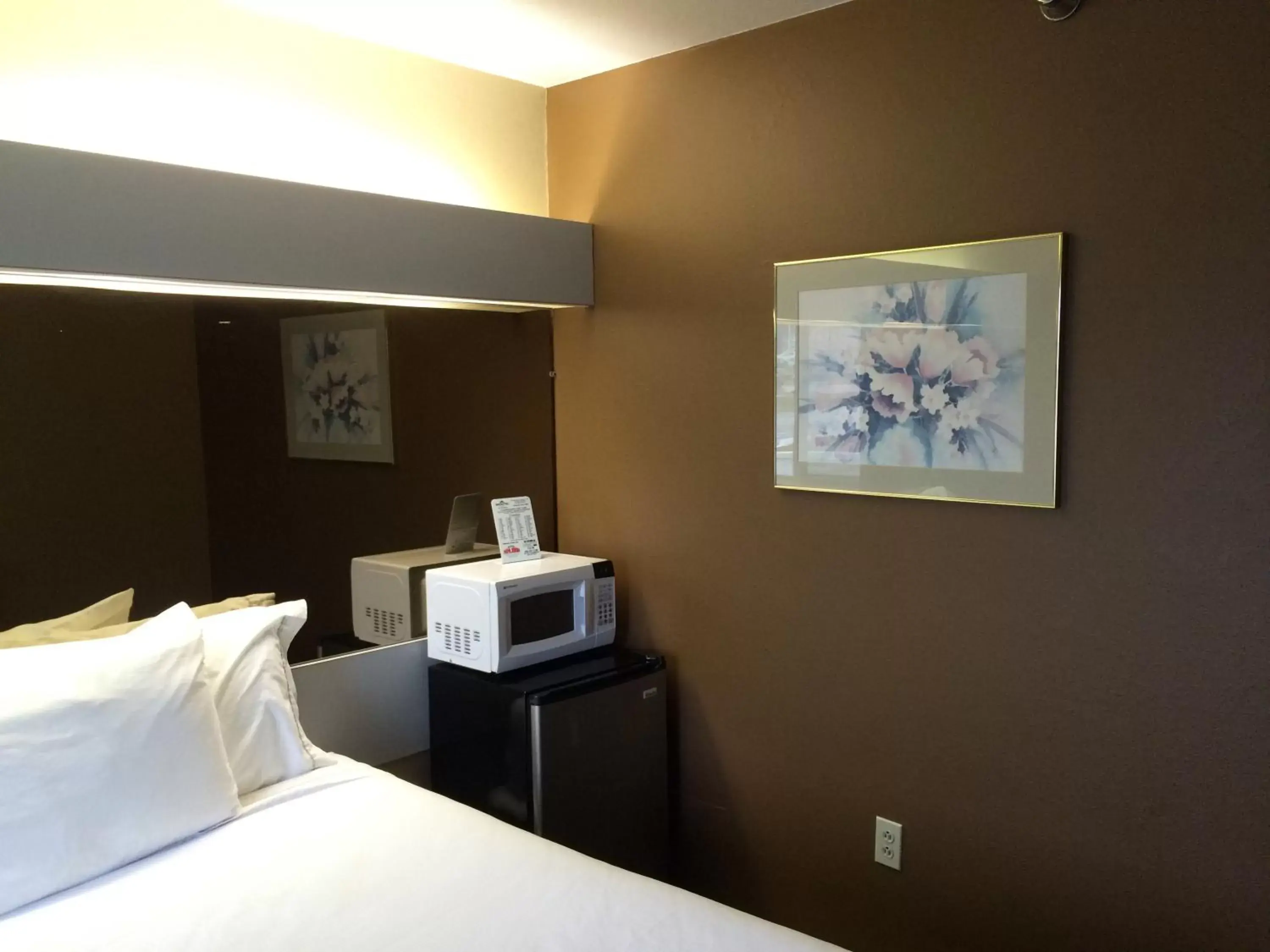 Bed, TV/Entertainment Center in Microtel Inn by Wyndham Henrietta