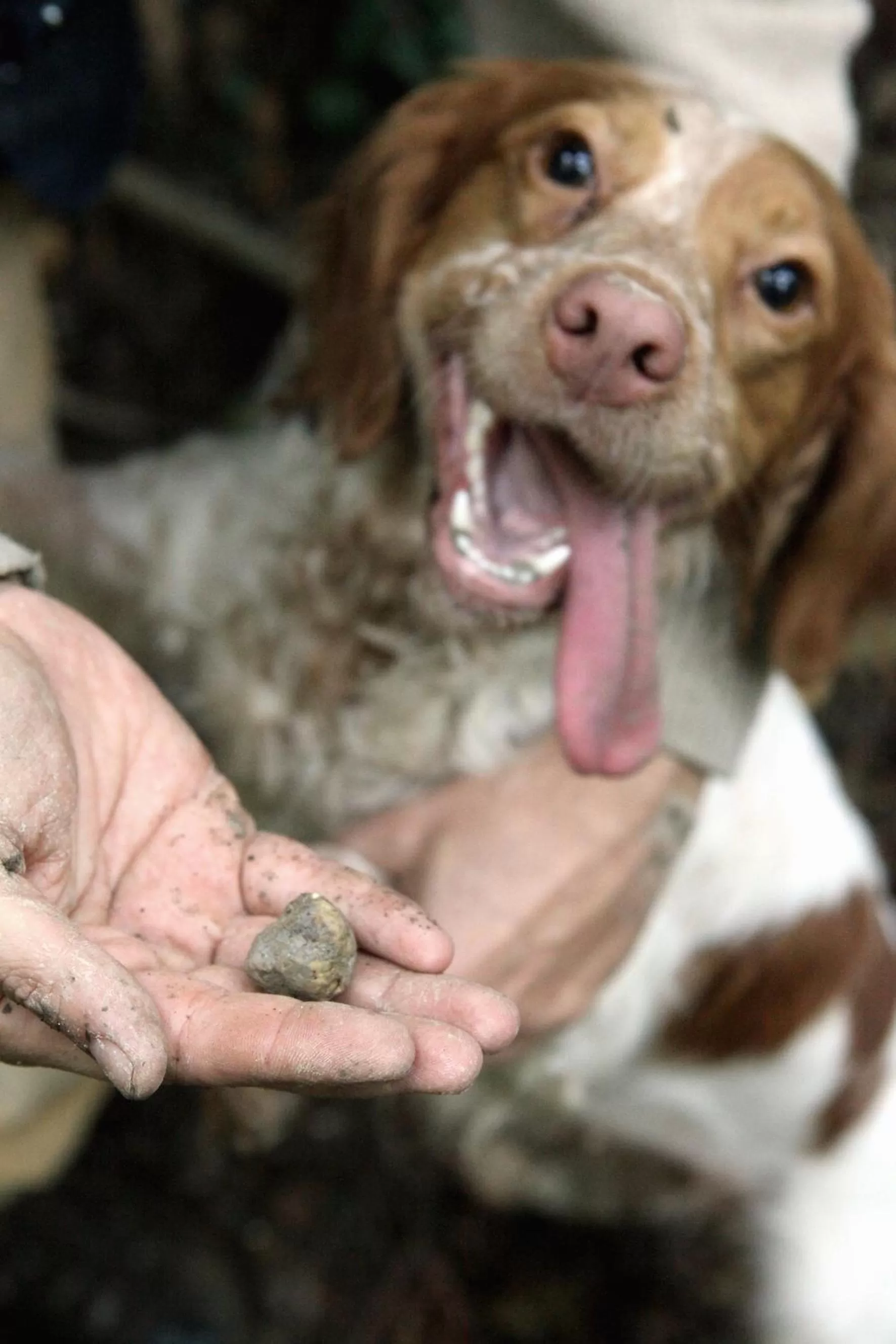 Activities in MARSAM locanda