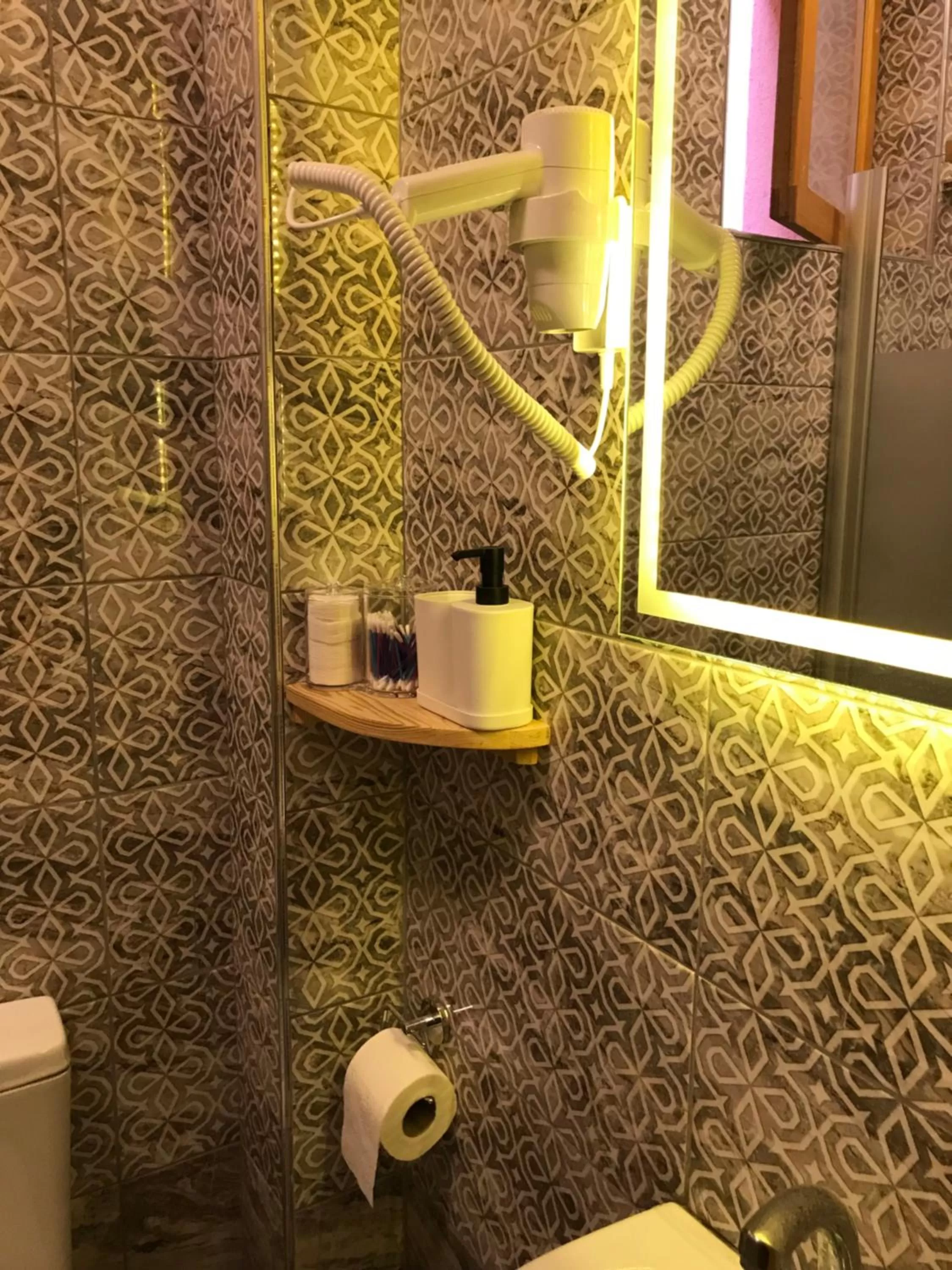 Bathroom in Green Mansion