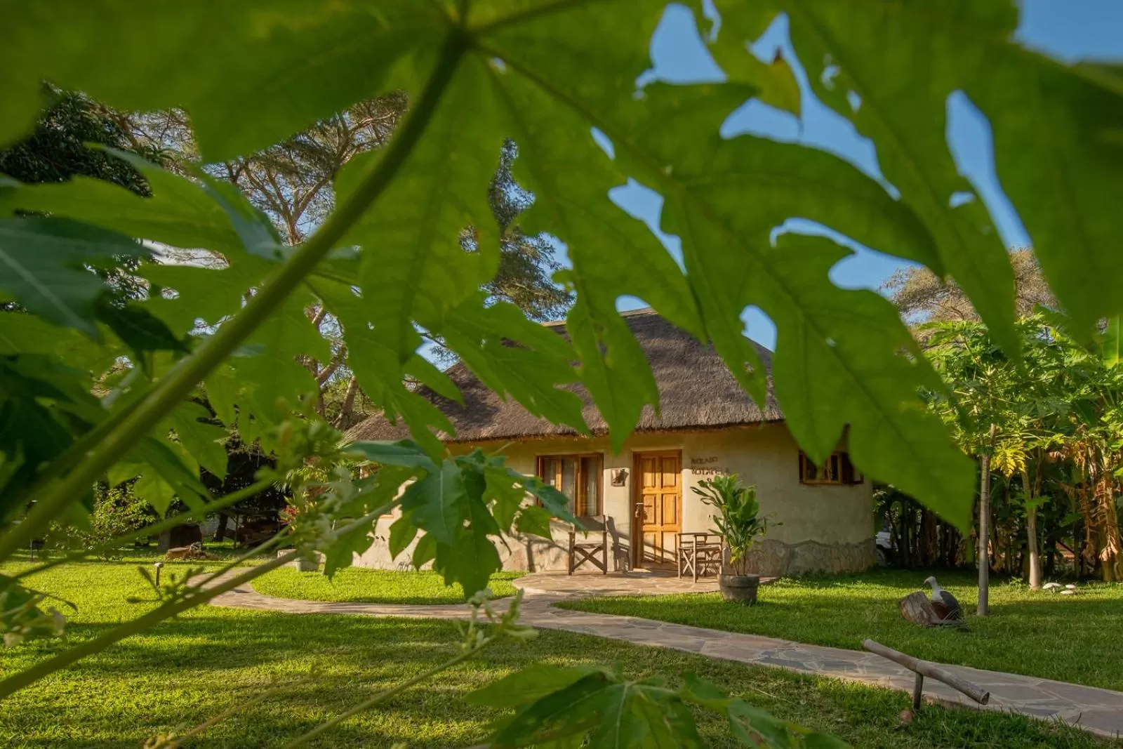 Patio in Wild Dogs Lodge