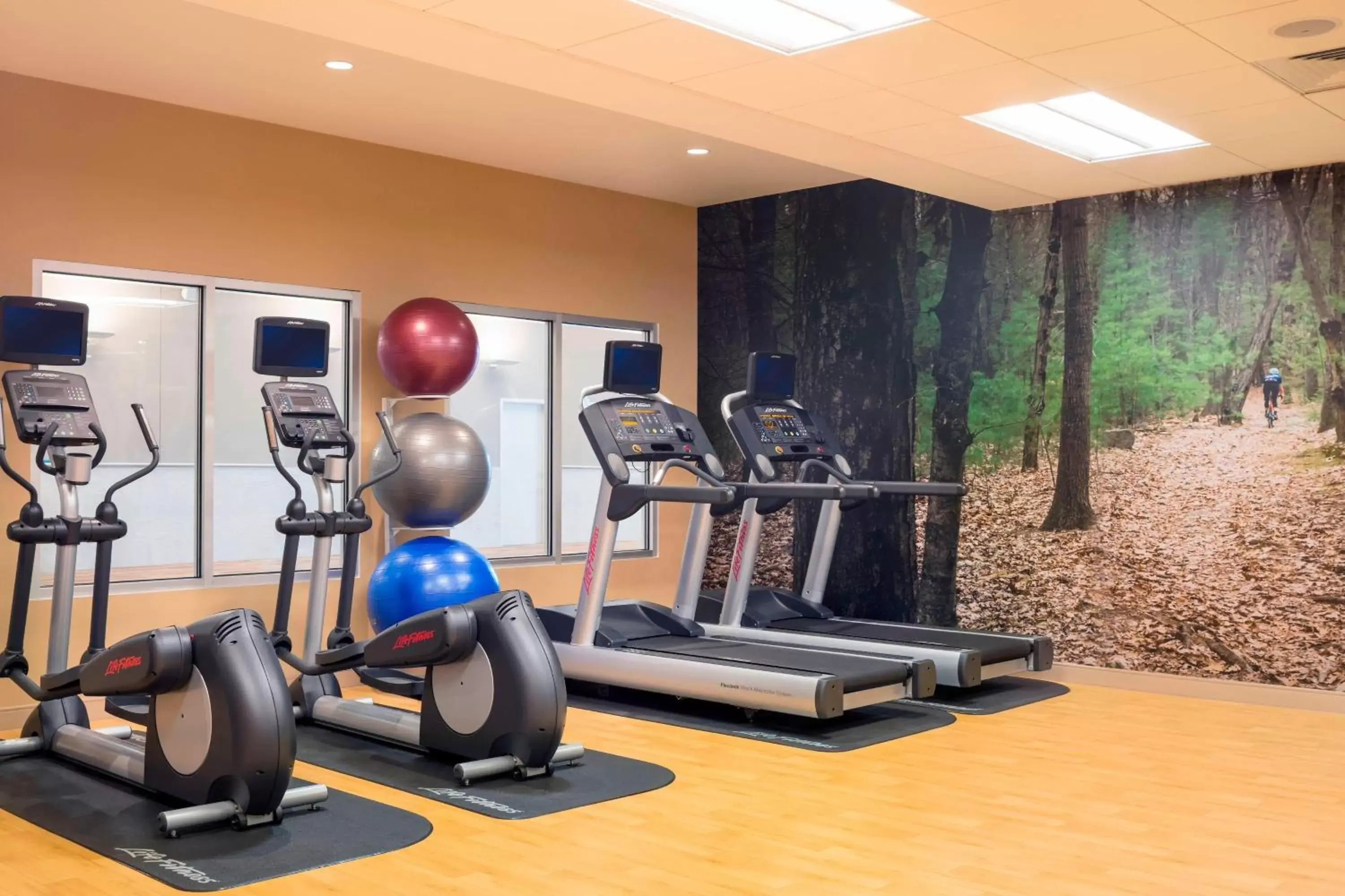 Fitness centre/facilities, Fitness Center/Facilities in Residence Inn by Marriott Boston Burlington