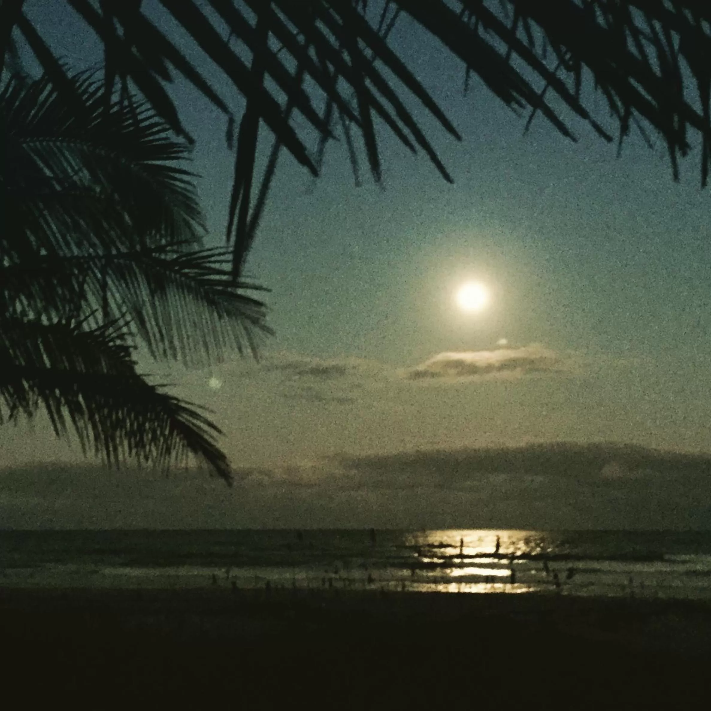 Beach in Surf Studio Beach Resort