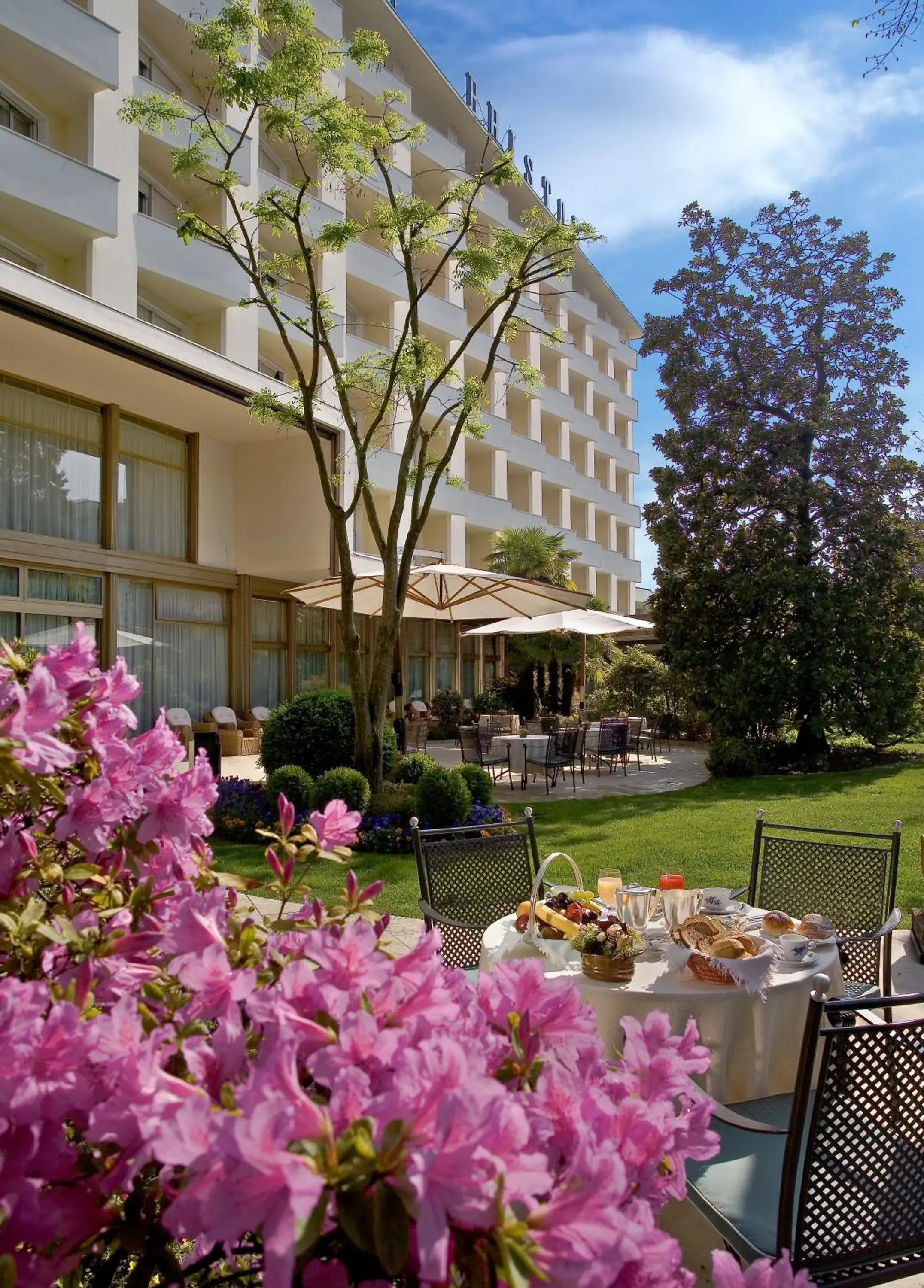 Patio in Hotel Bristol Buja