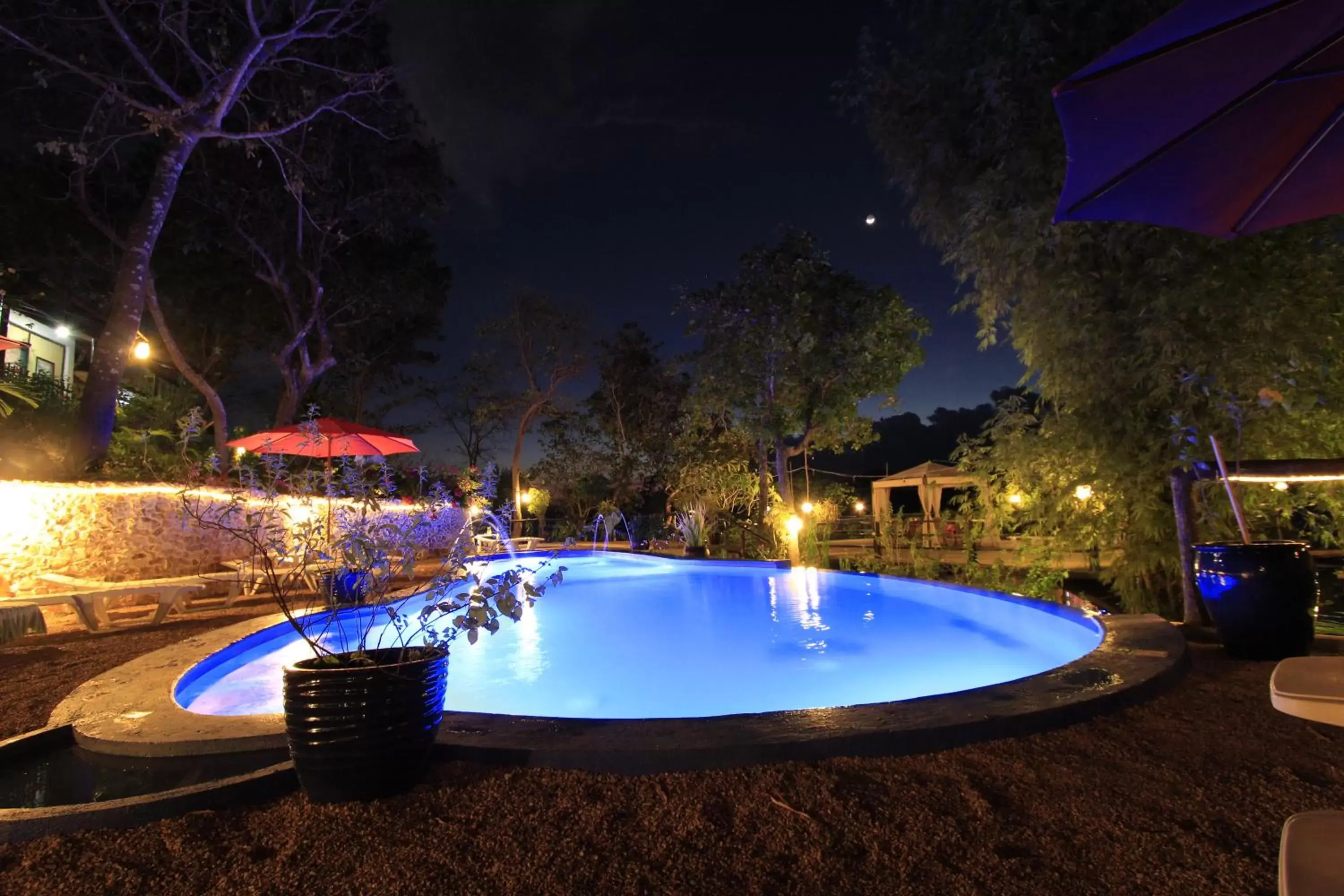 Swimming Pool in Discovery Island Resort