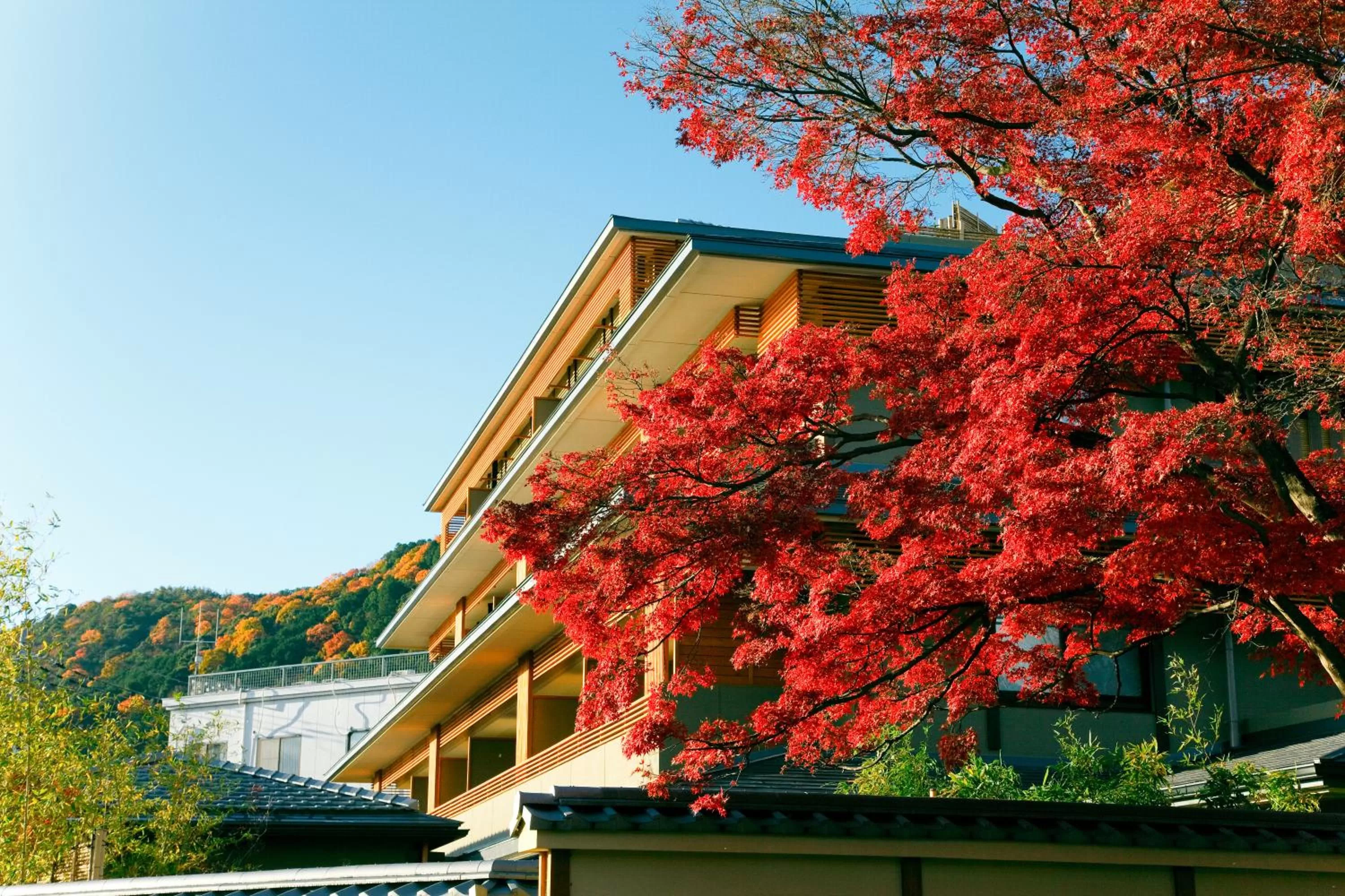 Property building in Kadensho, Arashiyama Onsen, Kyoto - Kyoritsu Resort