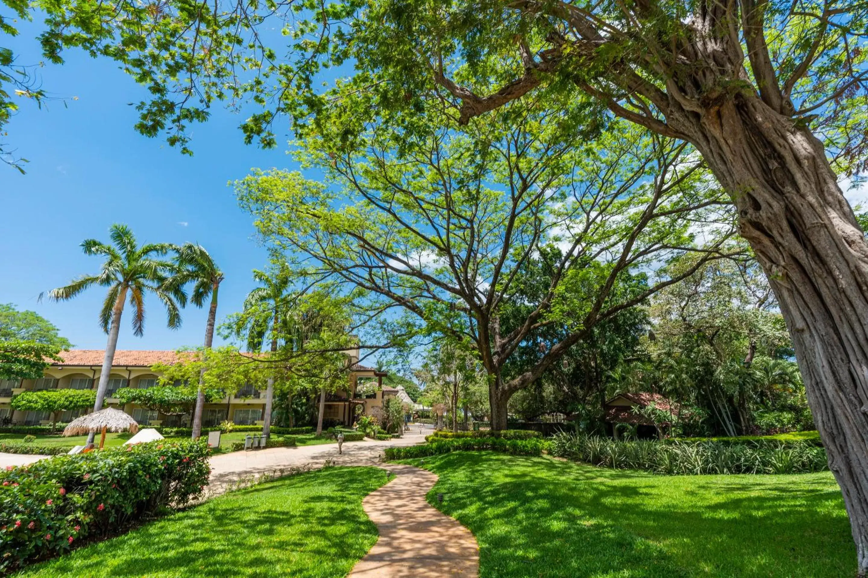 Garden in Hotel Tamarindo Diria Beach Resort