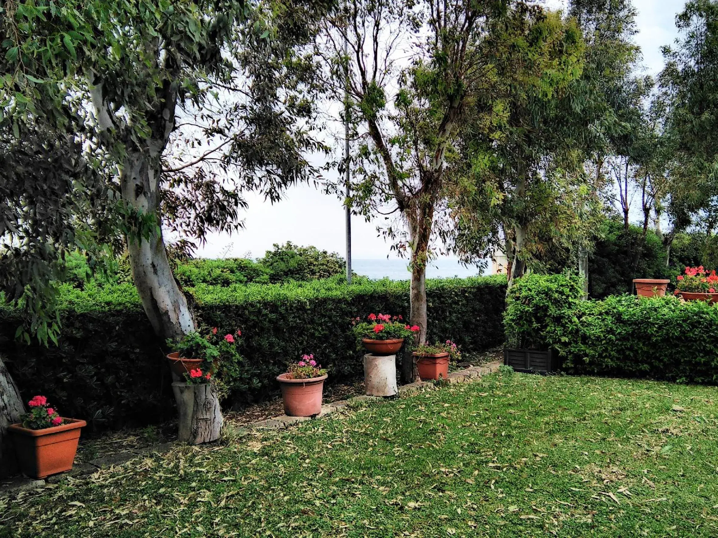 Garden view, Garden in Hotel Baia Del Sole