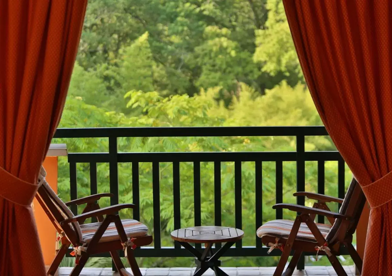 Balcony/Terrace in Hôtel Les Frères Ibarboure