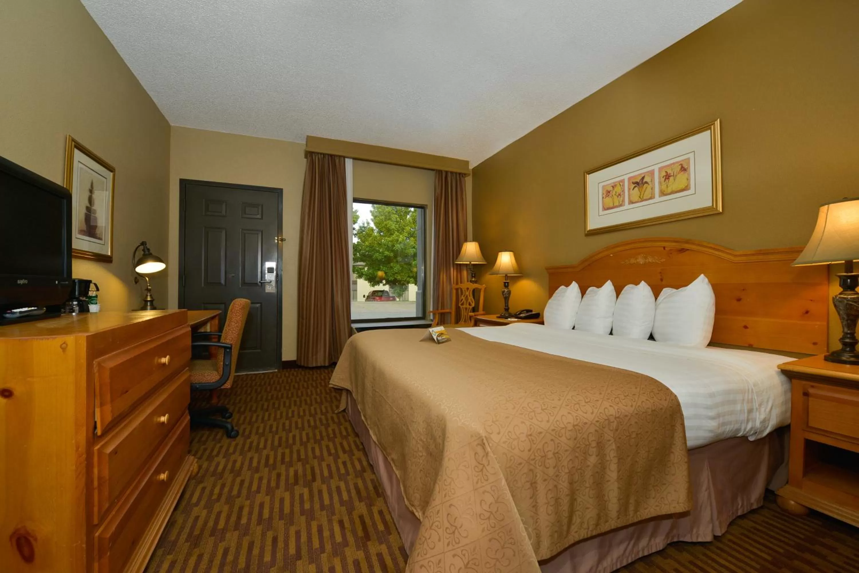 King Room - Non-Smoking in Quality Inn US65 & E Battlefield Rd Springfield