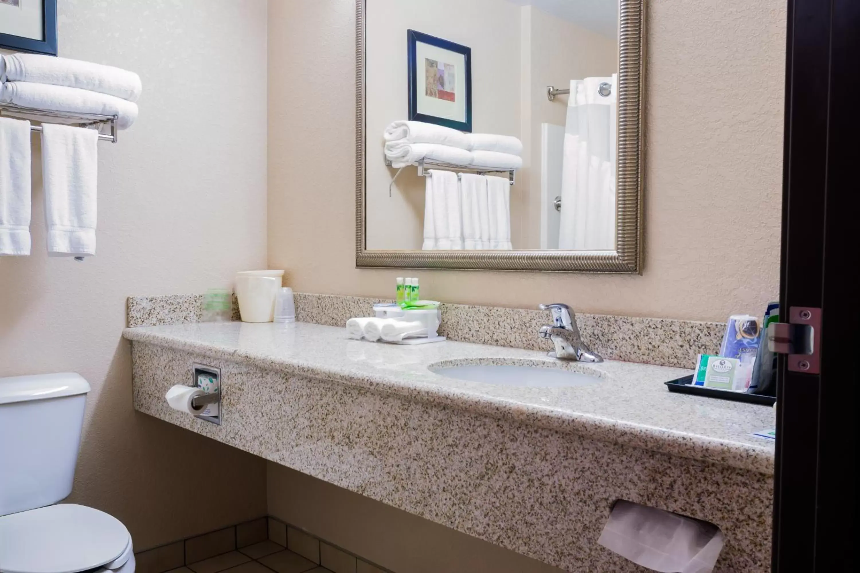 Bathroom in Holiday Inn Express Hotel & Suites Acme-Traverse City, an IHG Hotel