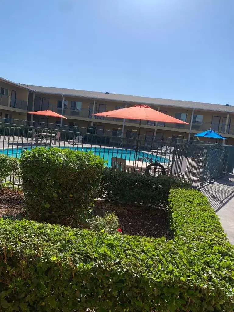 Swimming pool, Property Building in Quality Inn & Suites near Downtown Bakersfield