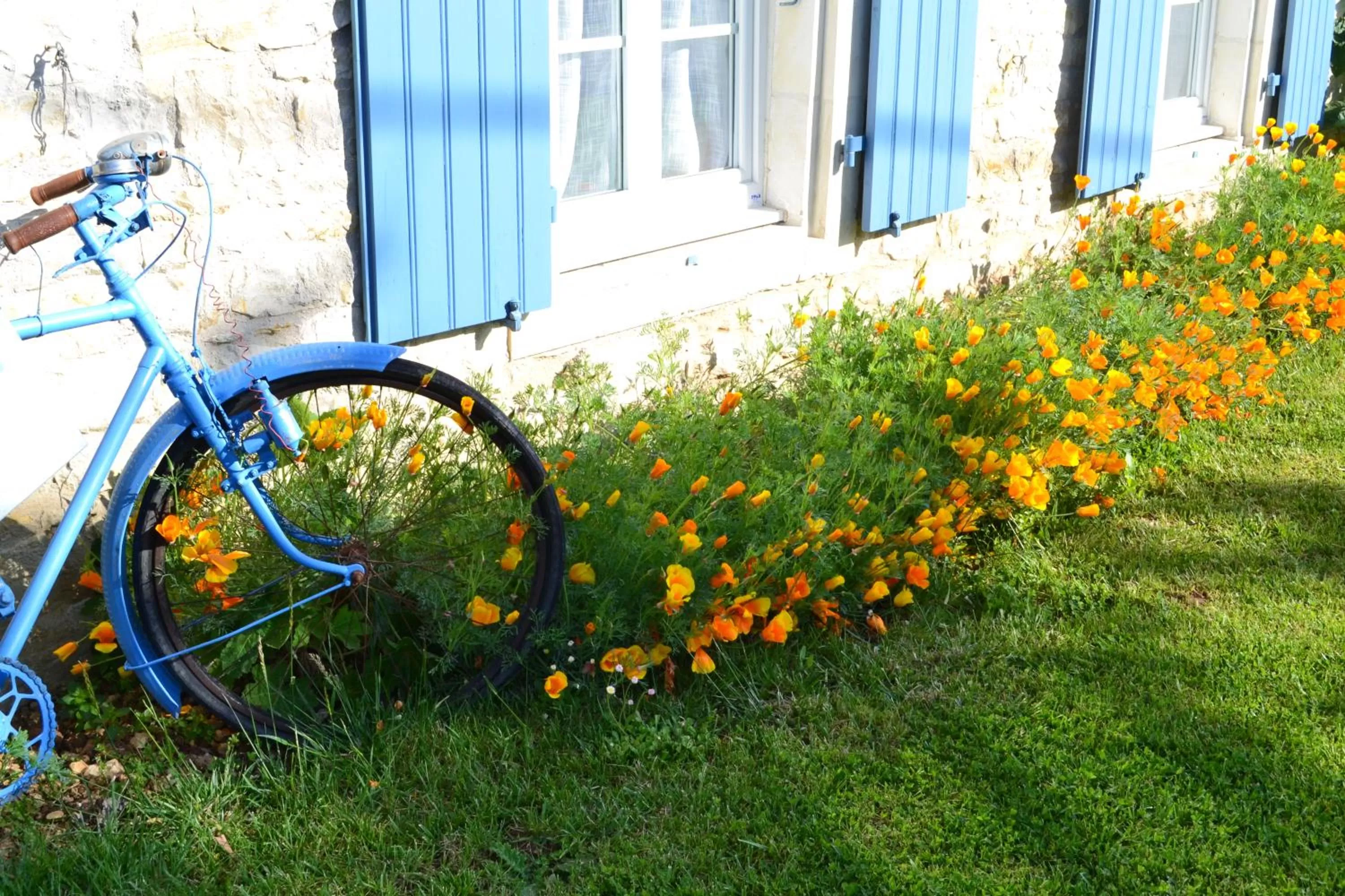 Property building, Garden in L'instant bleu