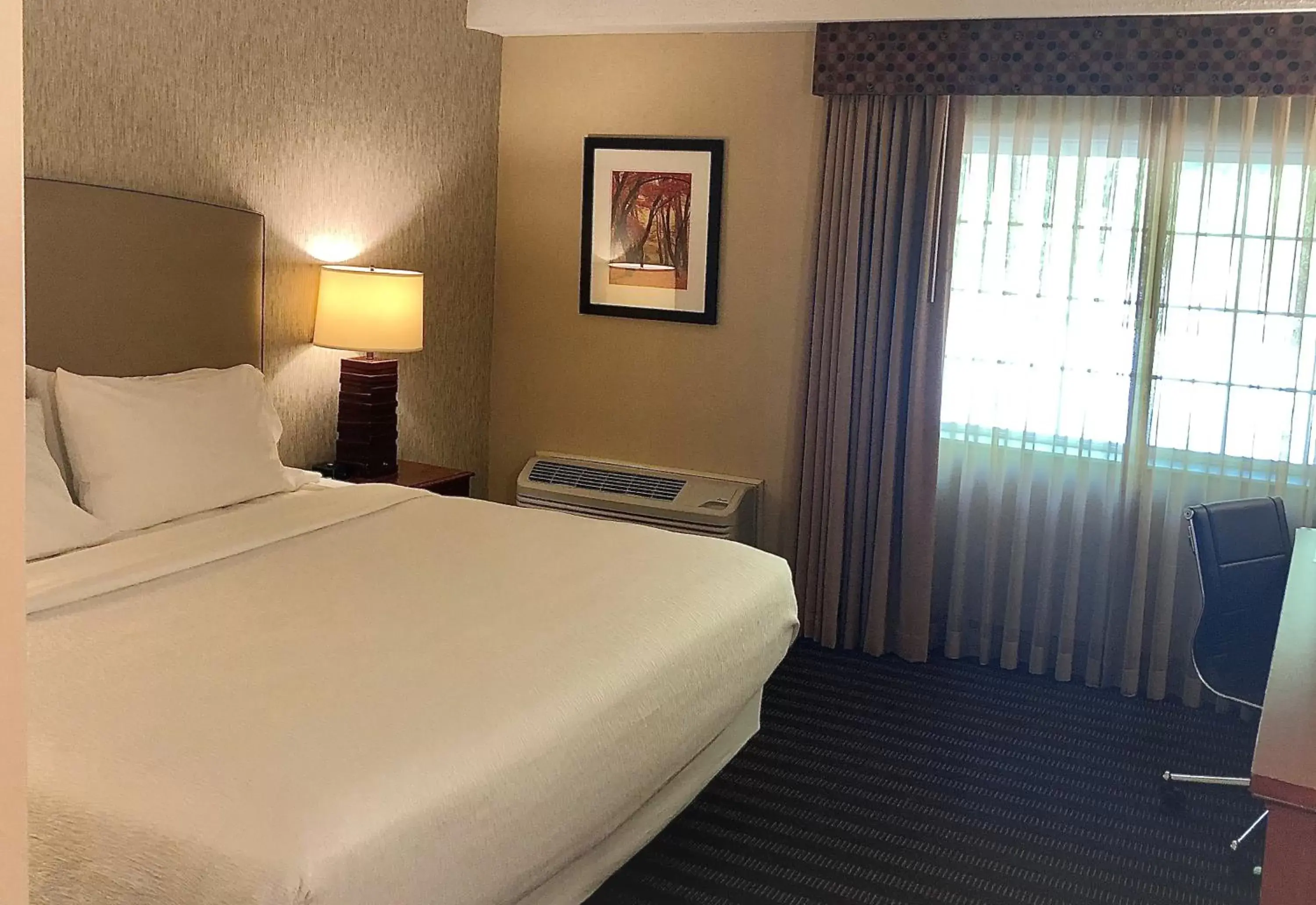 Bedroom, Room Photo in Best Western Springfield Hotel