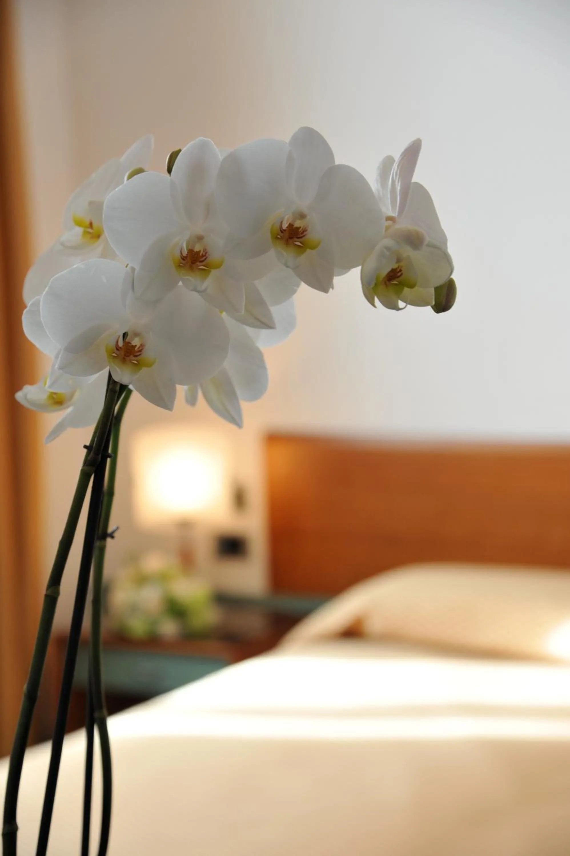 Bed in Hotel Filanda