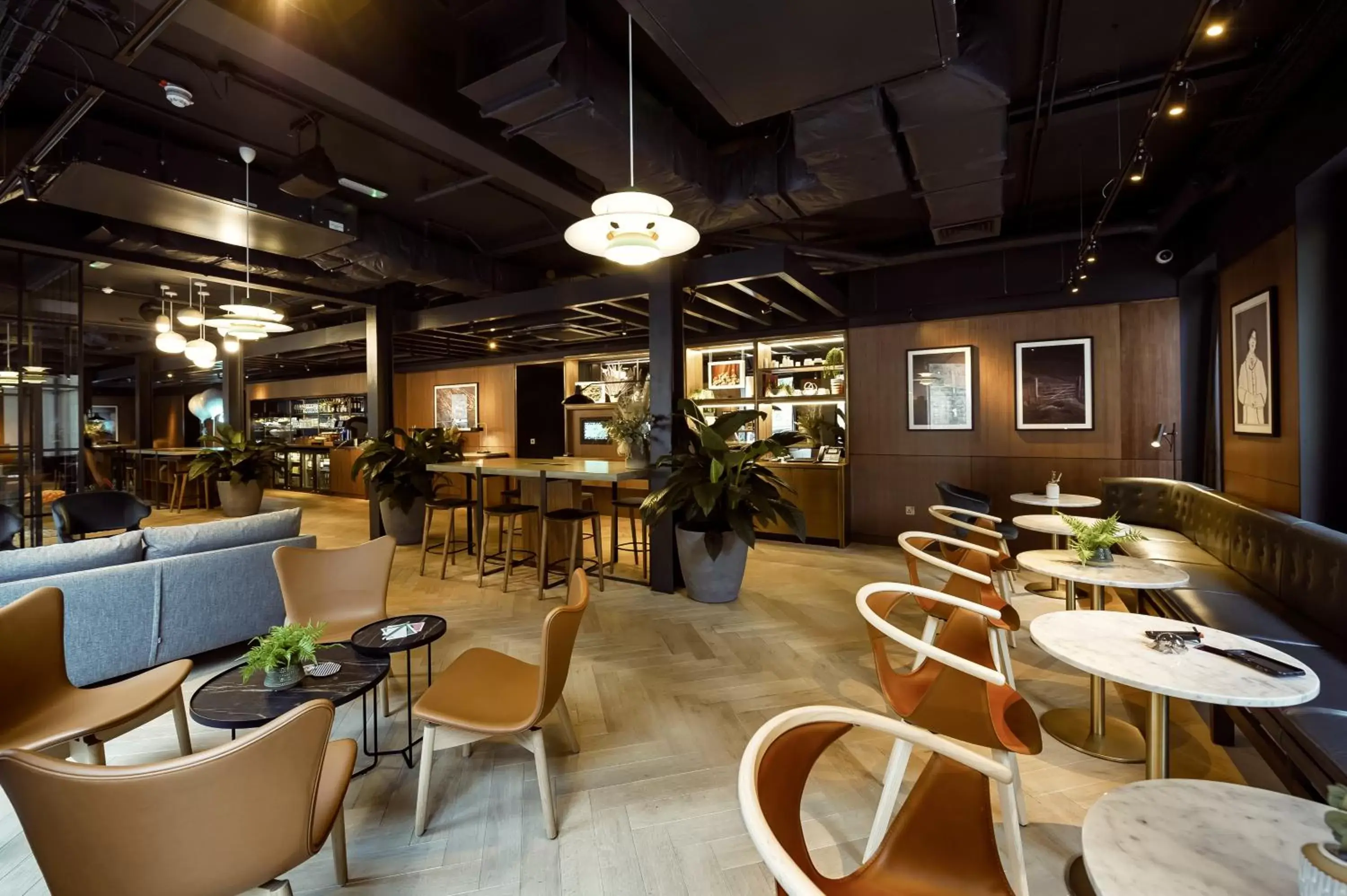 Lounge or bar, Restaurant/Places to Eat in Wilde Aparthotels by Staycity Edinburgh Grassmarket