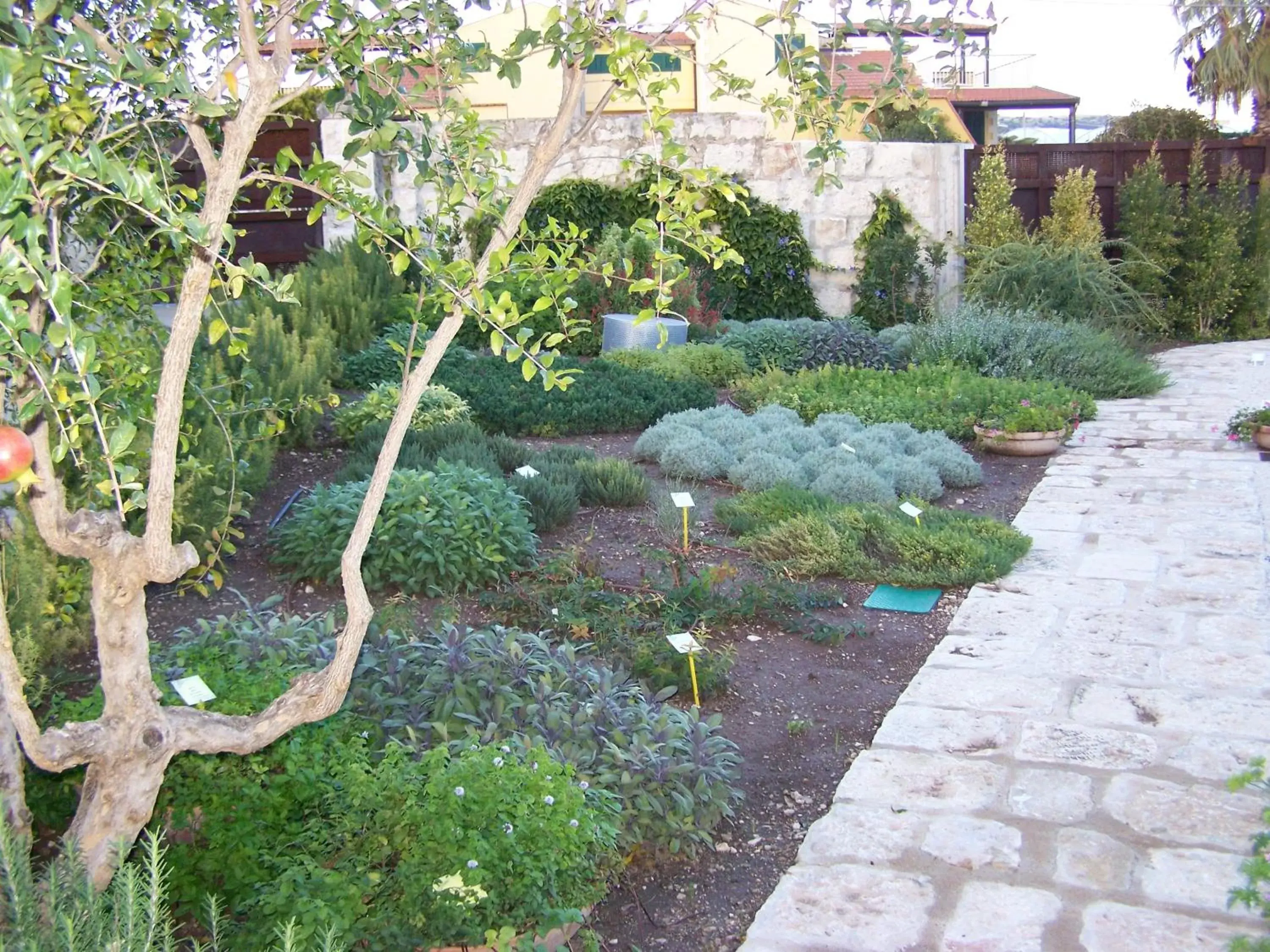 Garden in La Scibina