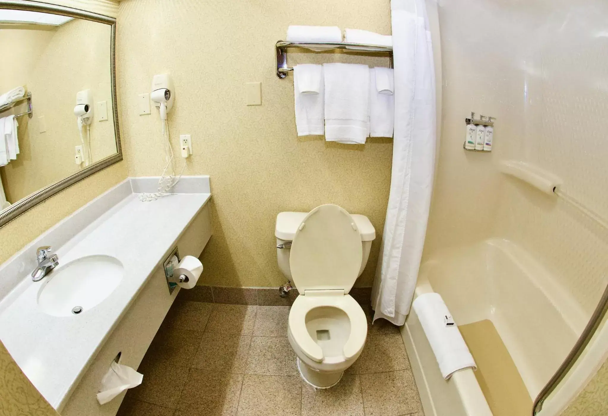 Photo of the whole room, Bathroom in Holiday Inn Express Hotel & Suites Fenton/I-44, an IHG Hotel