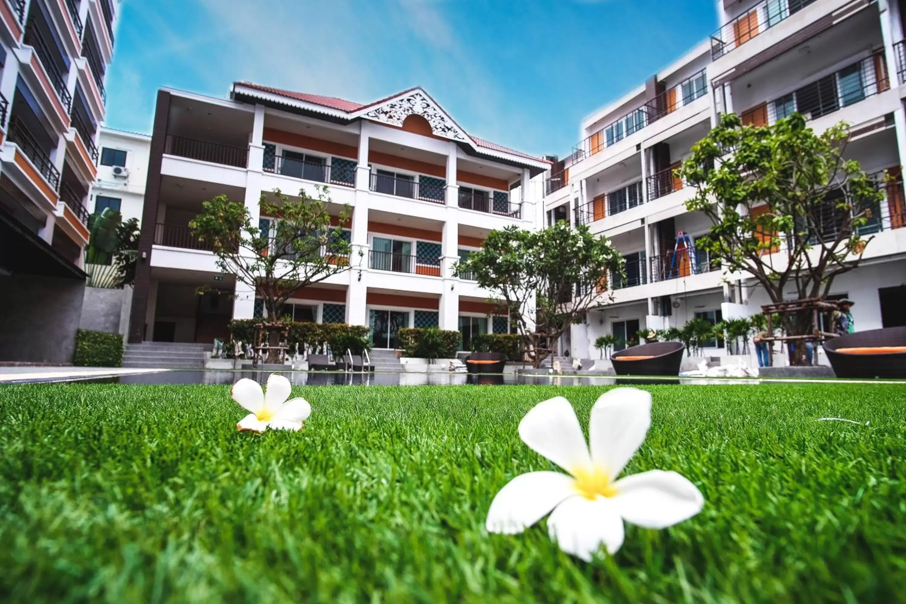 Swimming pool, Garden in FX Hotel Pattaya