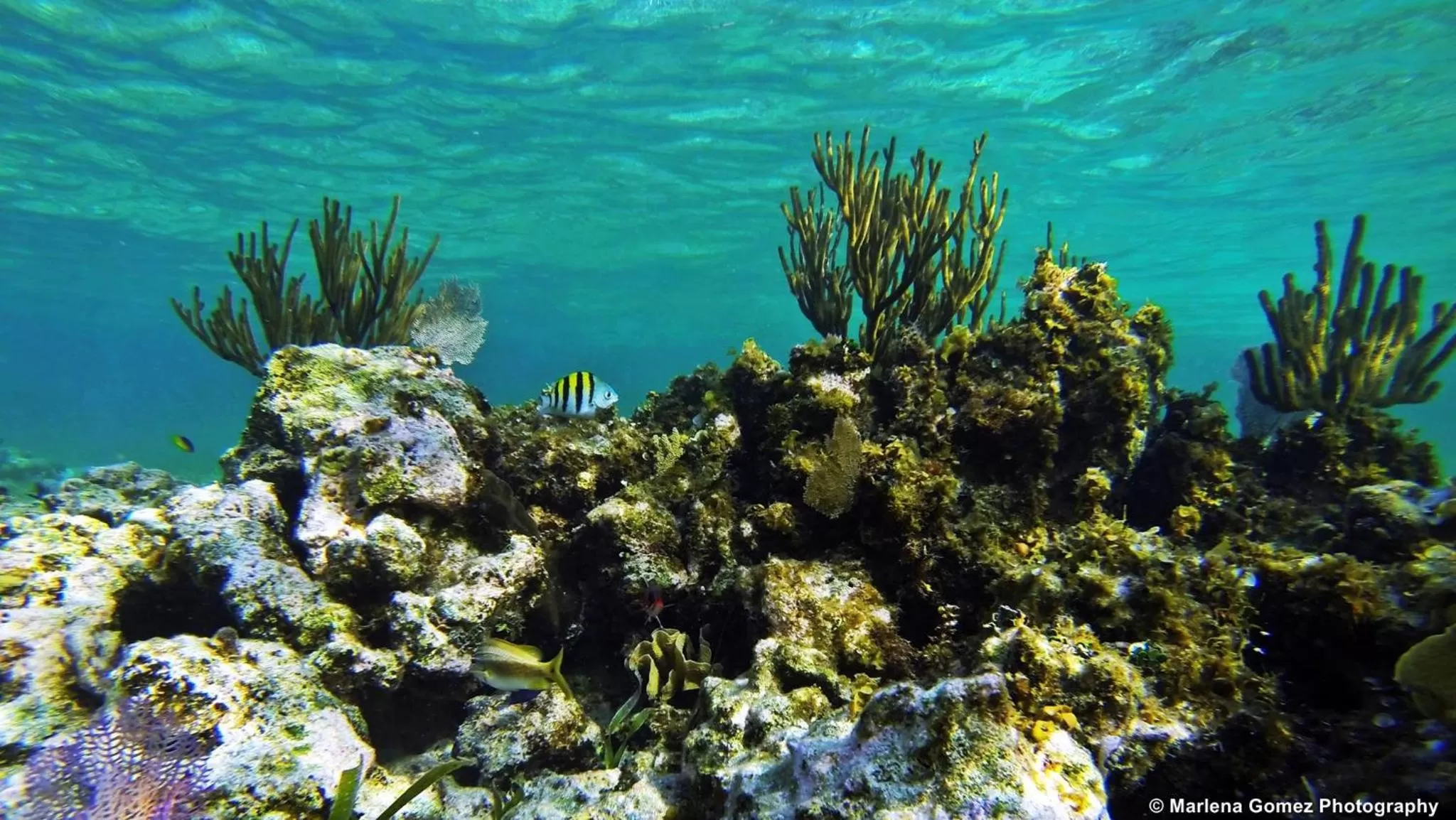 Diving in Mayan Princess Hotel