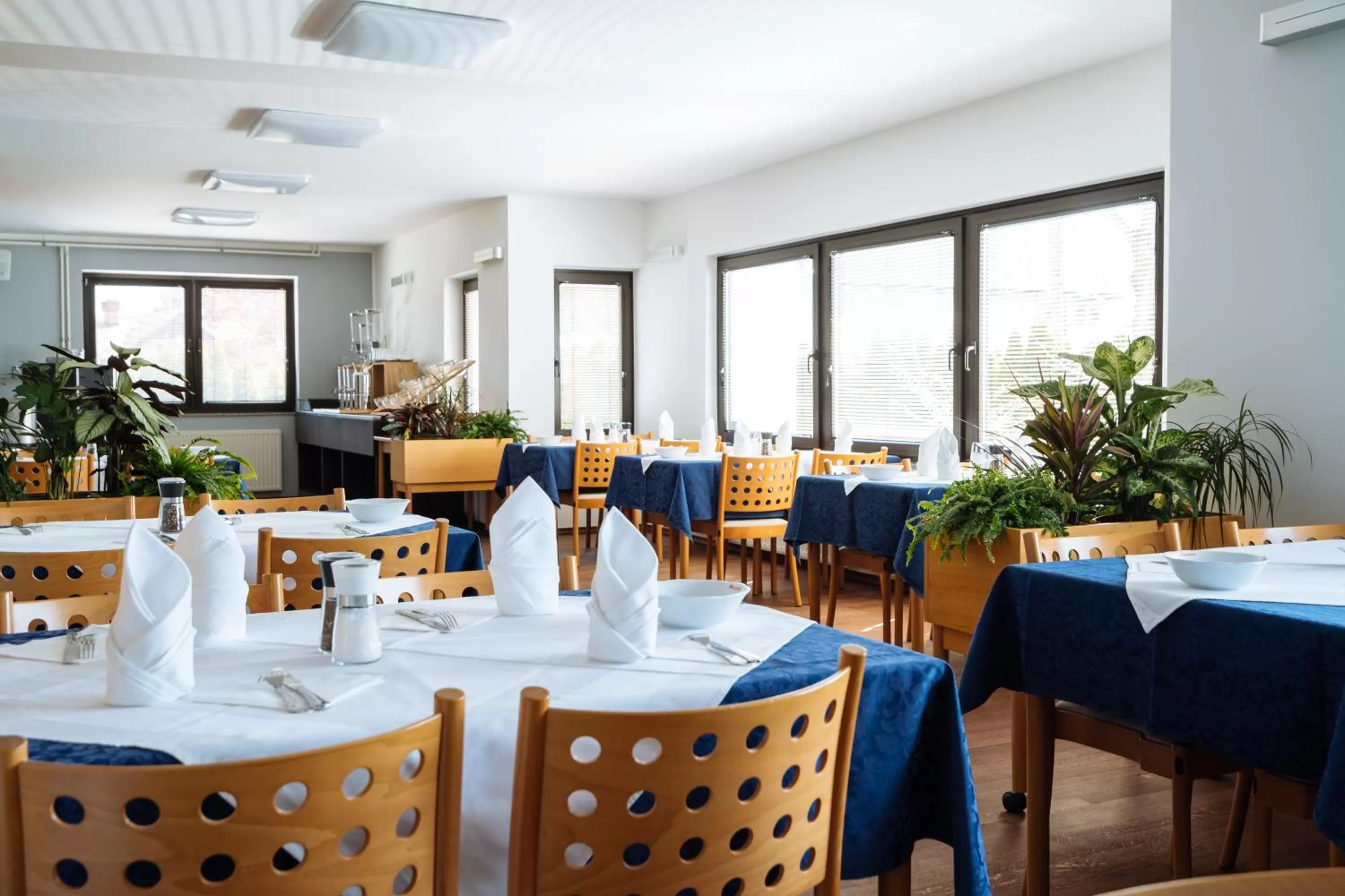 Food and drinks in Hotel GH Kolinska