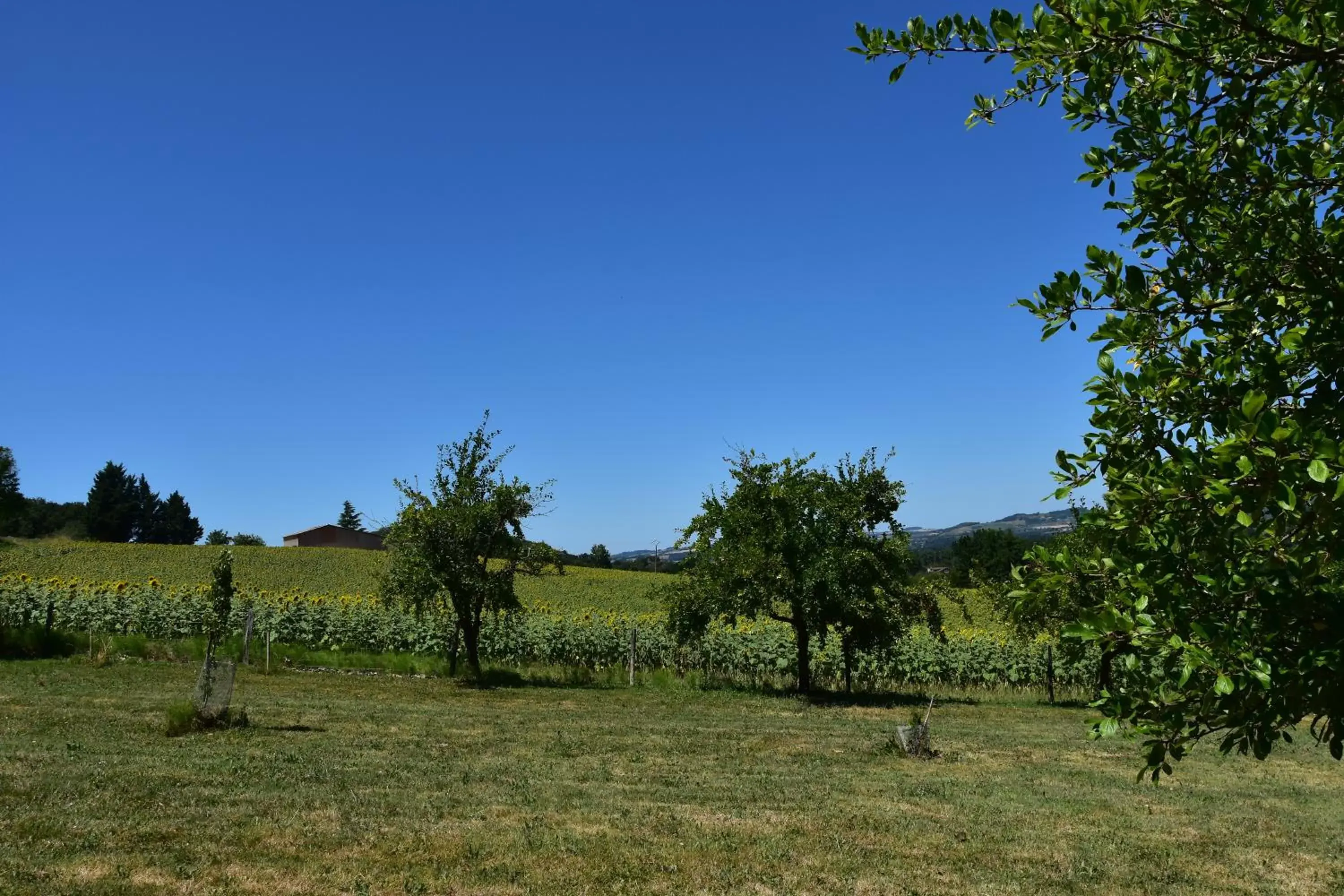 View (from property/room) in Domaine de calbiac