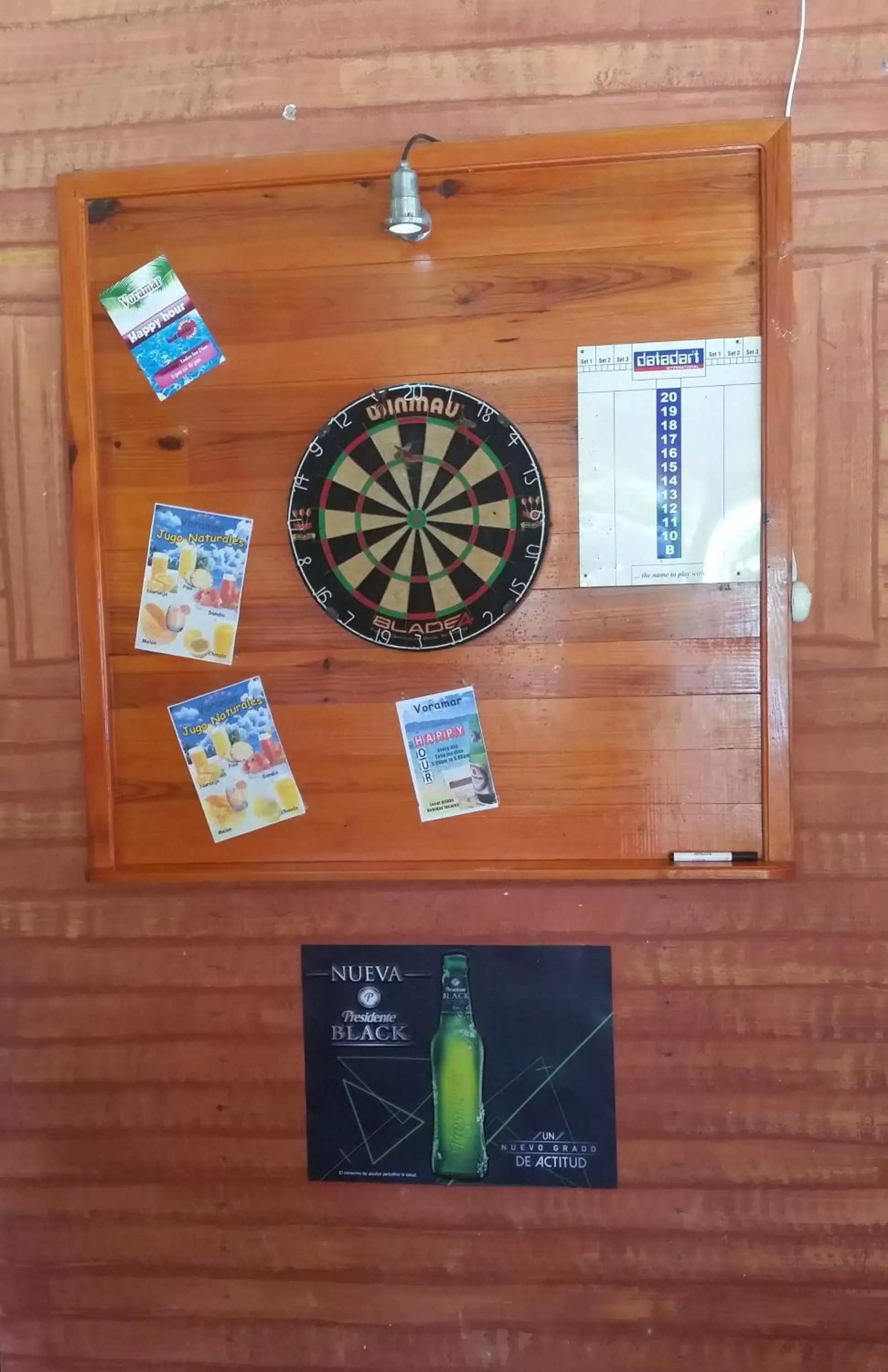 Darts in Hotel Voramar