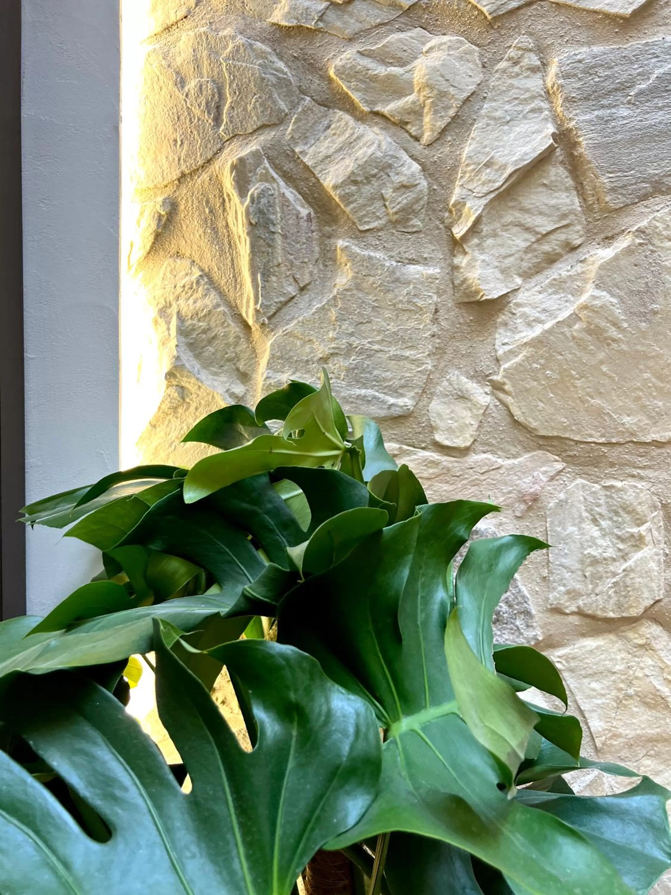 Arcos de Medina - Apartamentos premium