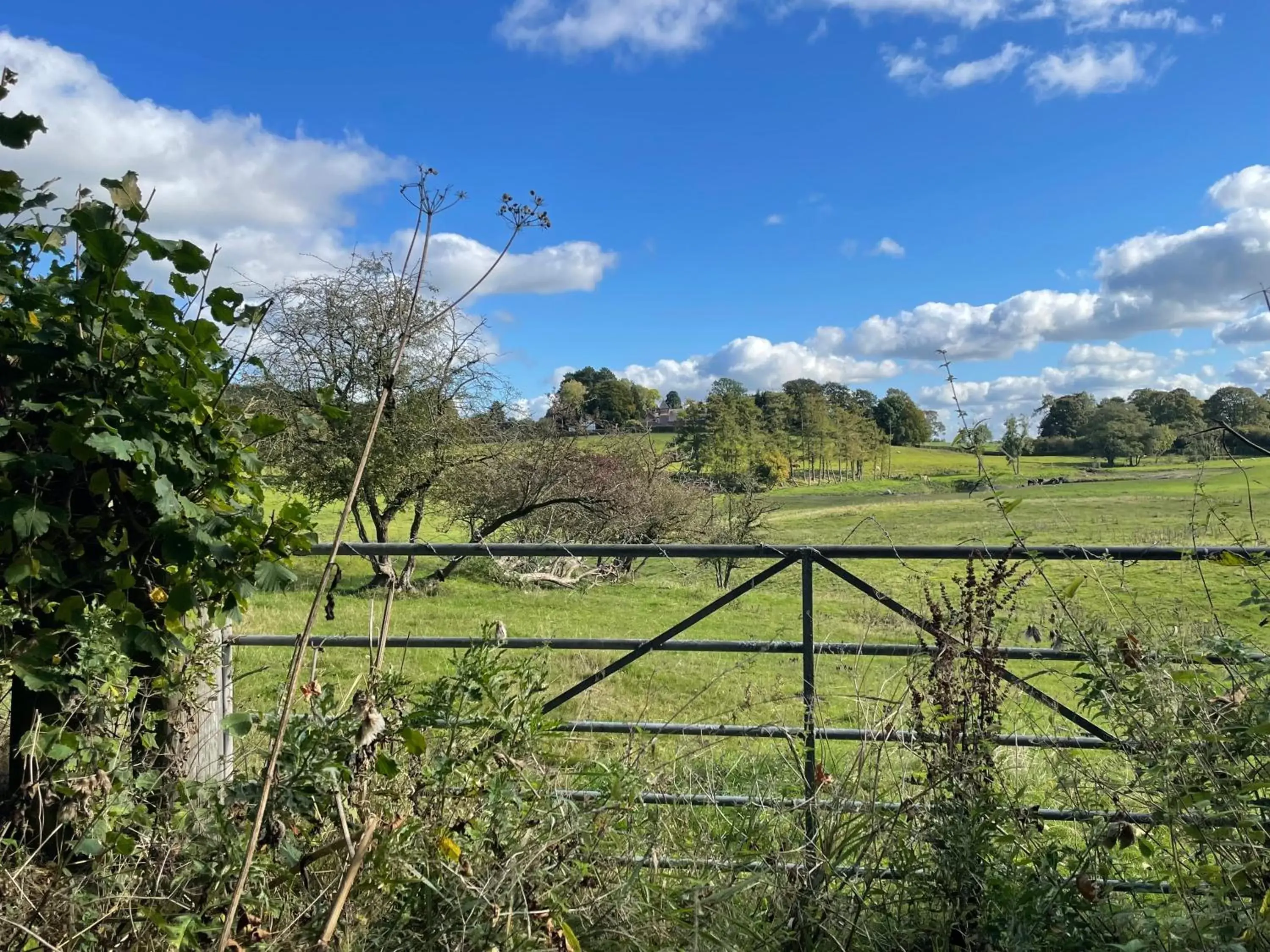 Natural landscape in Eagle House