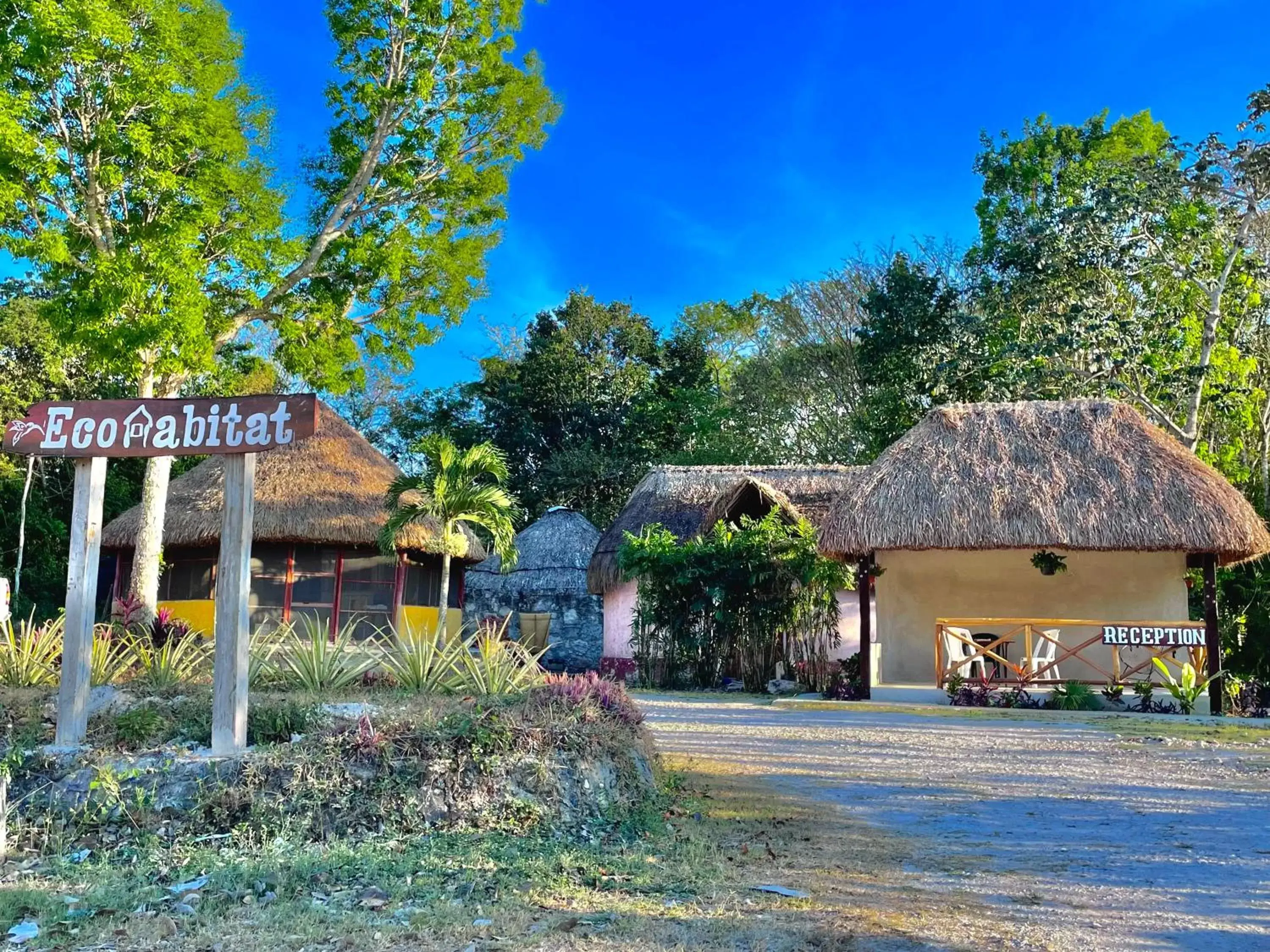 Property Building in Ecohabitat