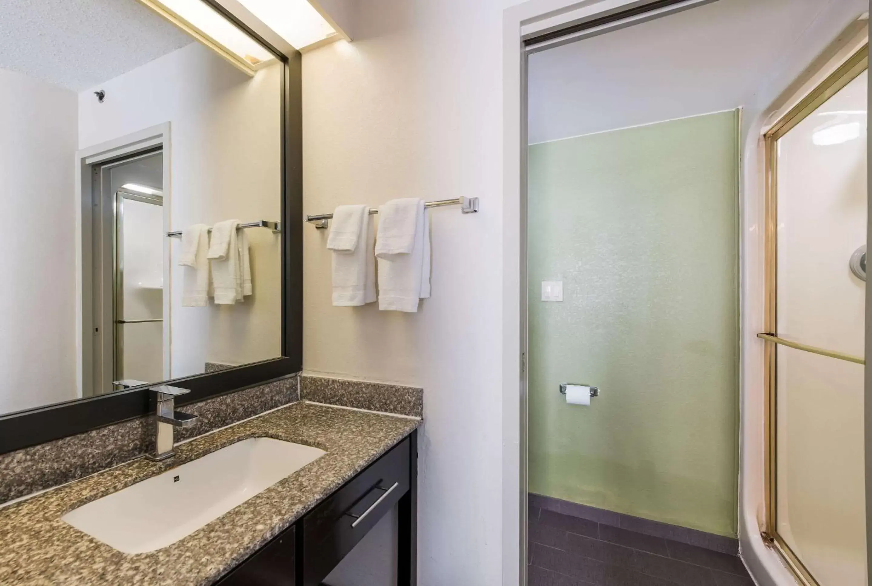 Bathroom in Rodeway Inn