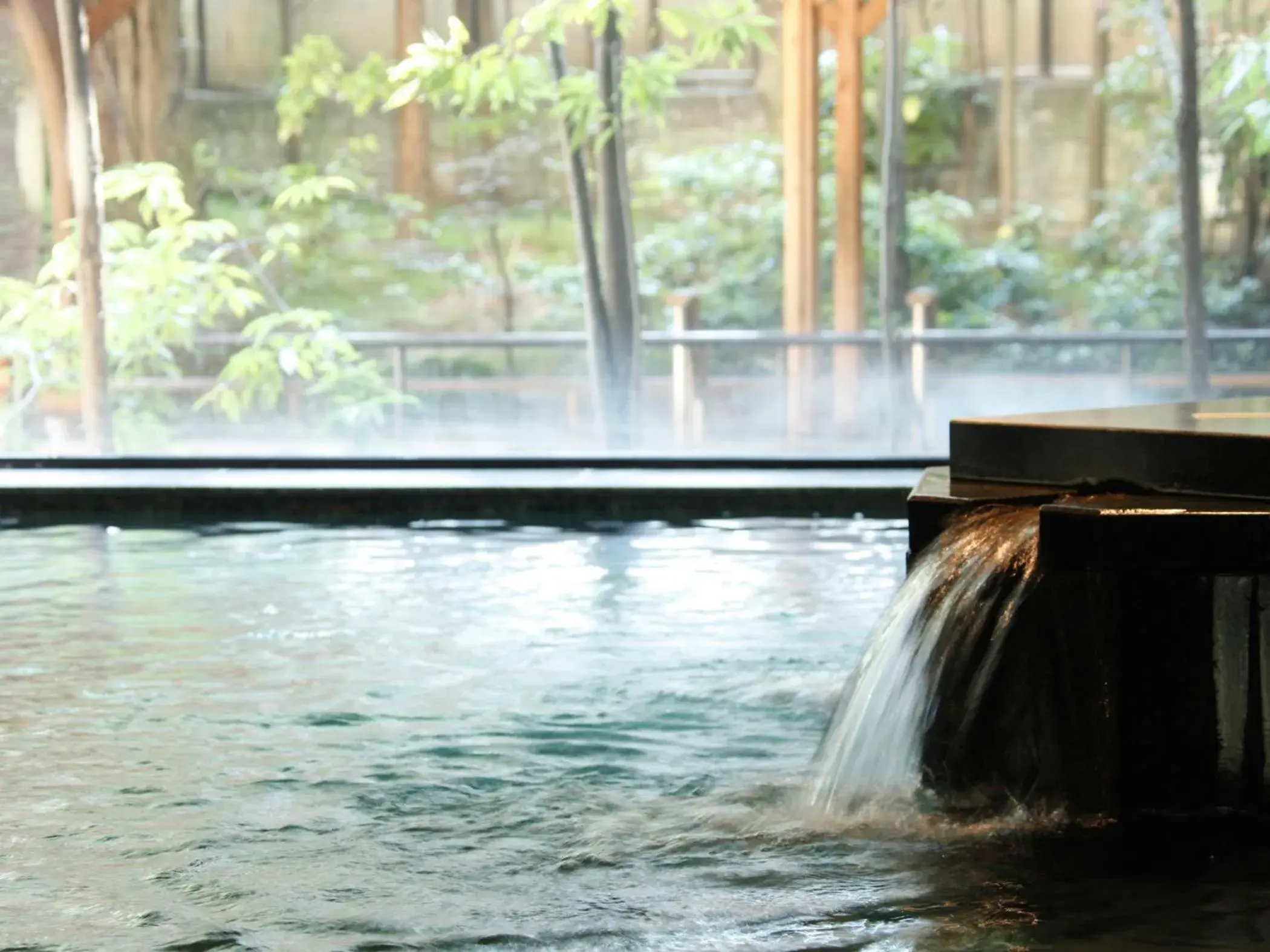 Hot Spring Bath in Rurikoh