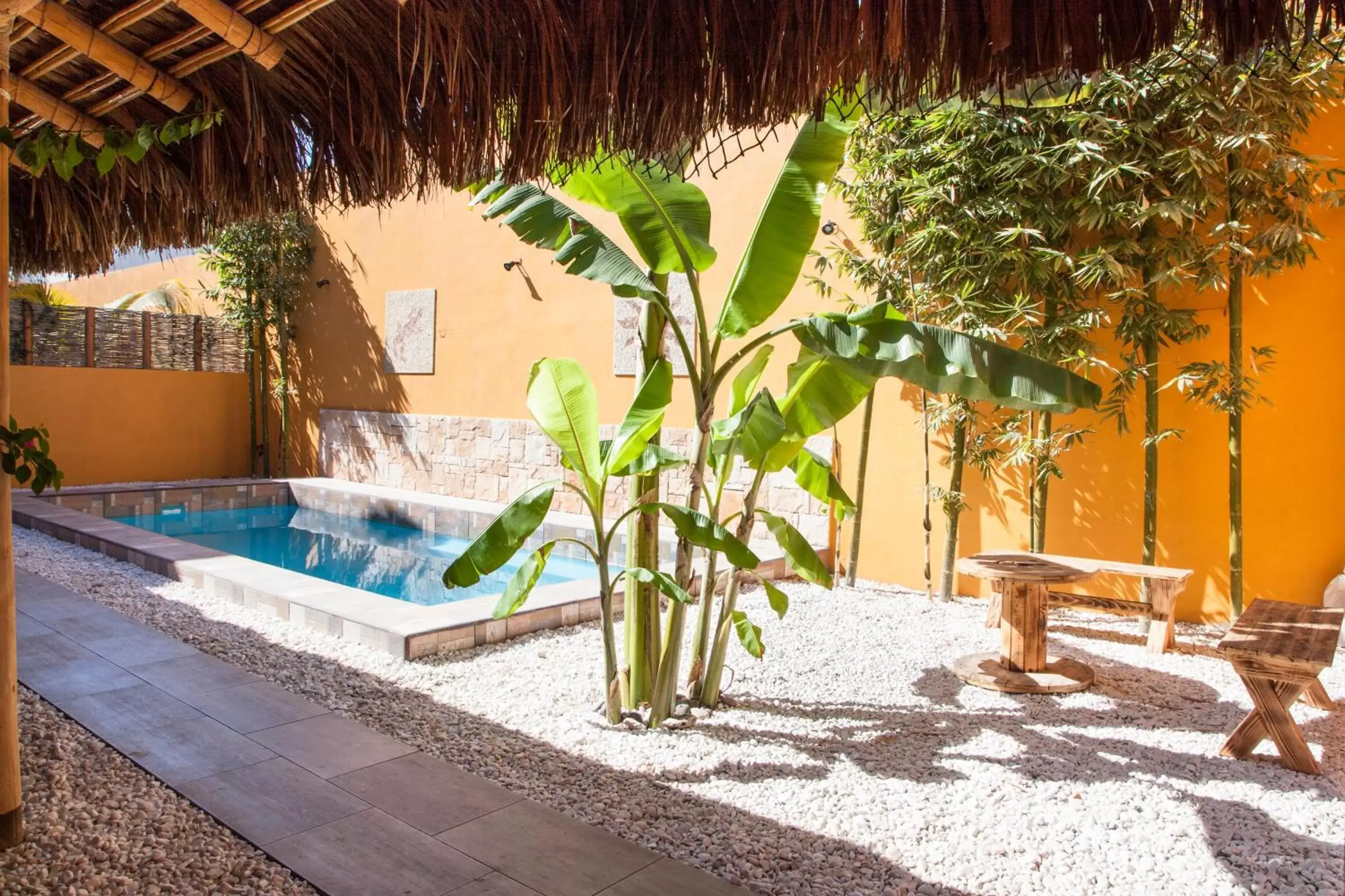 Pool view, Swimming Pool in Casa Juarez B&B