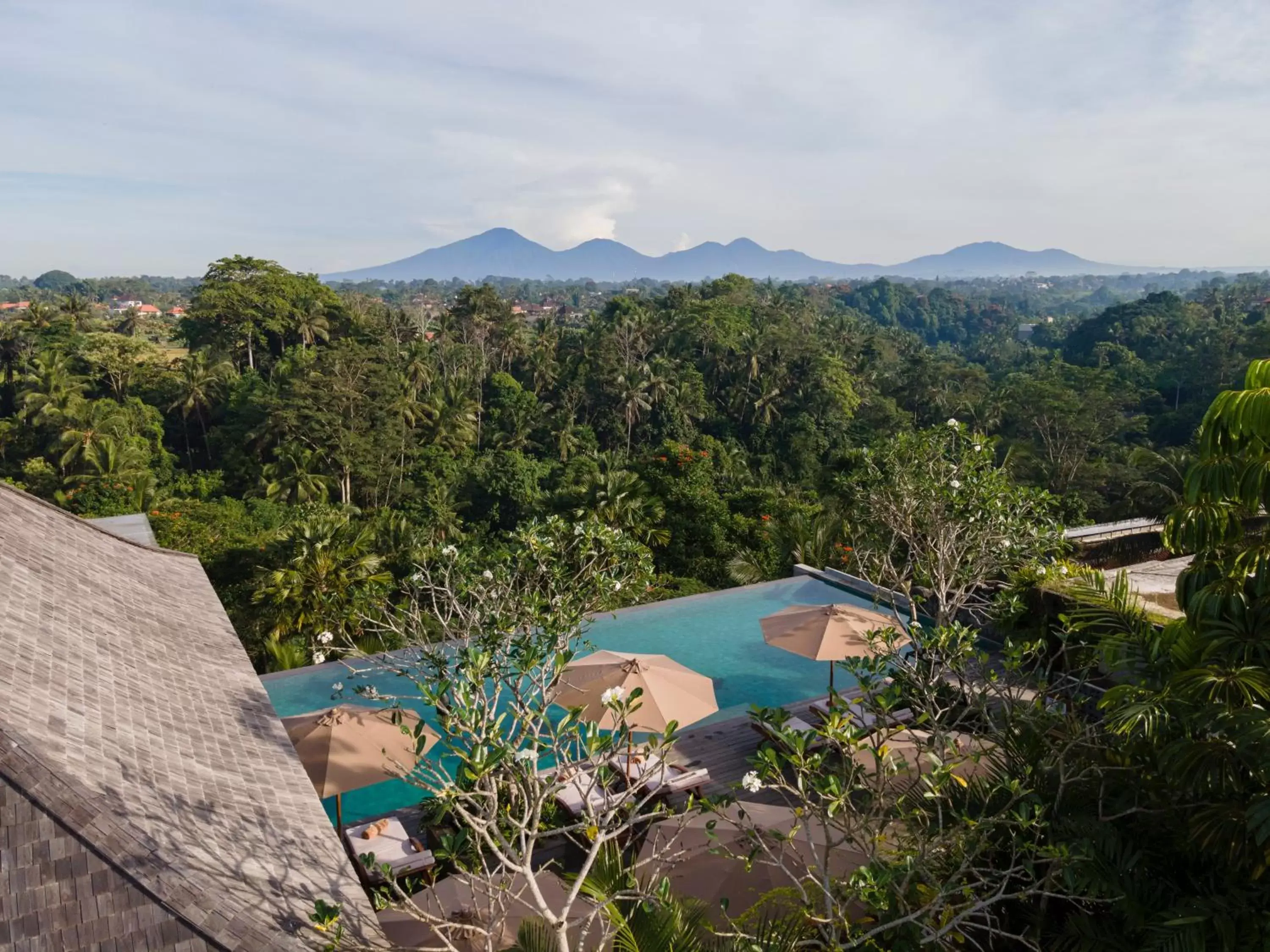 Mountain view, Pool View in Adiwana Bisma