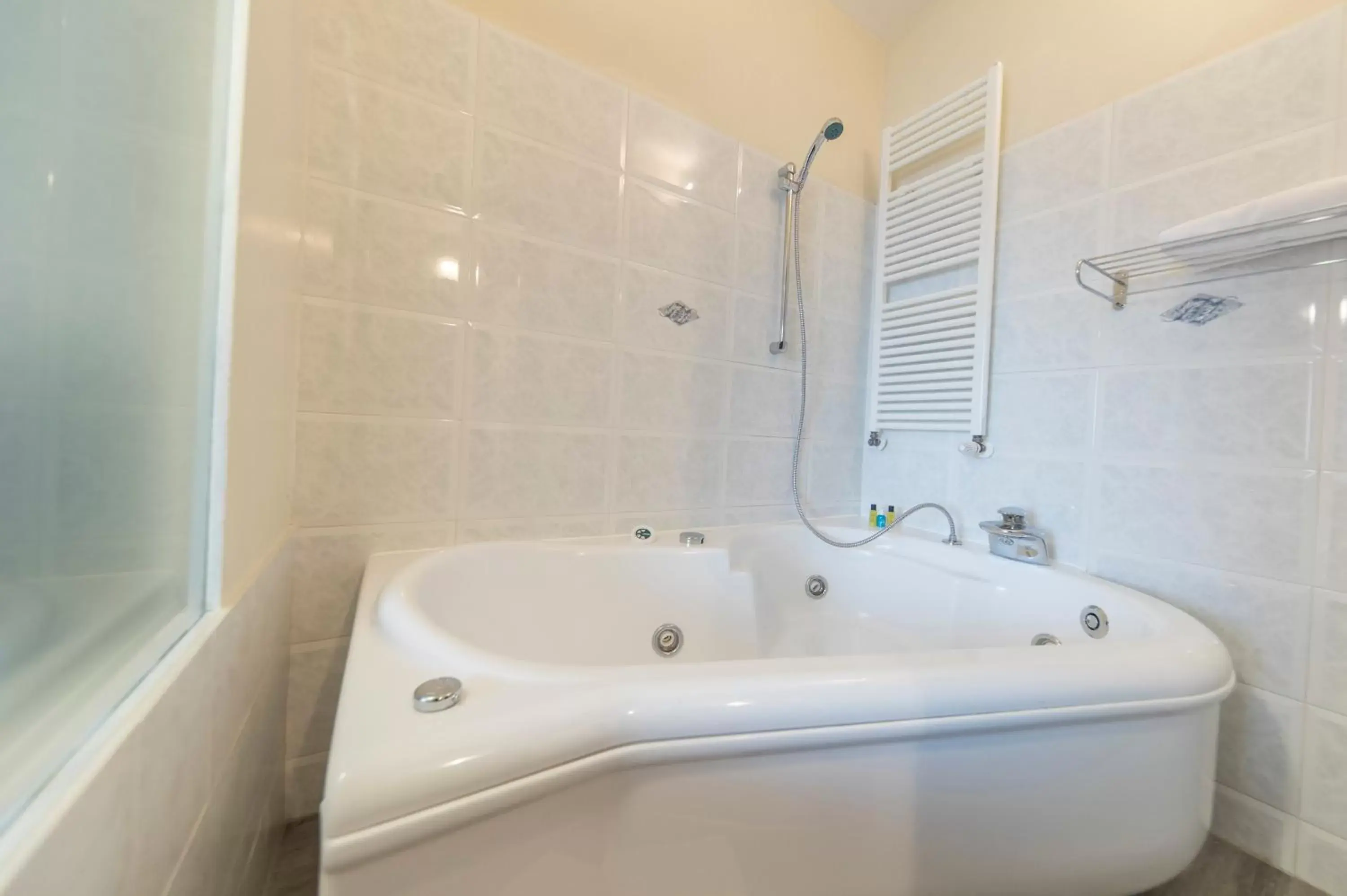 Hot Tub, Bathroom in Hotel Donatello Imola