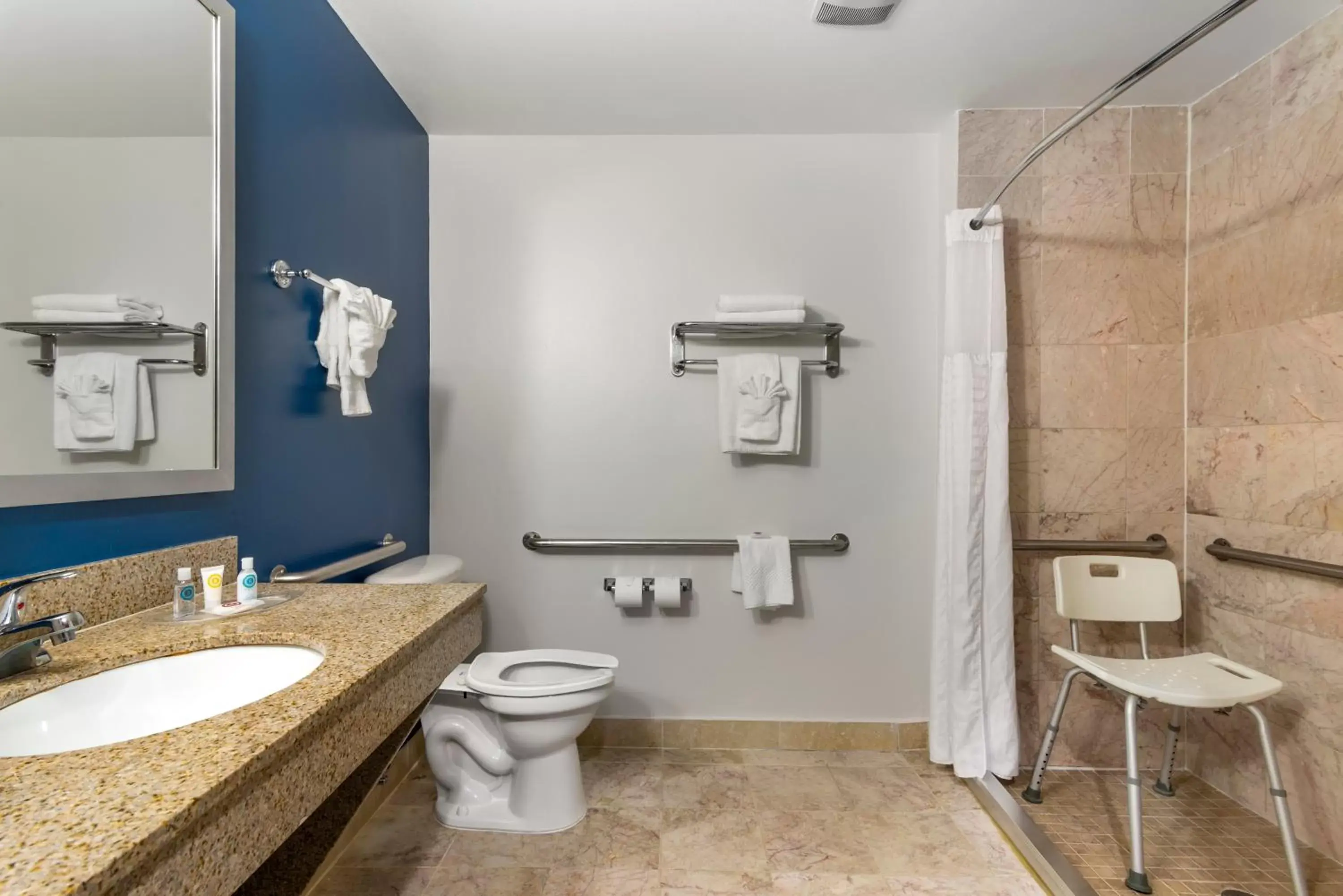 Shower, Bathroom in Comfort Suites Atlanta Airport