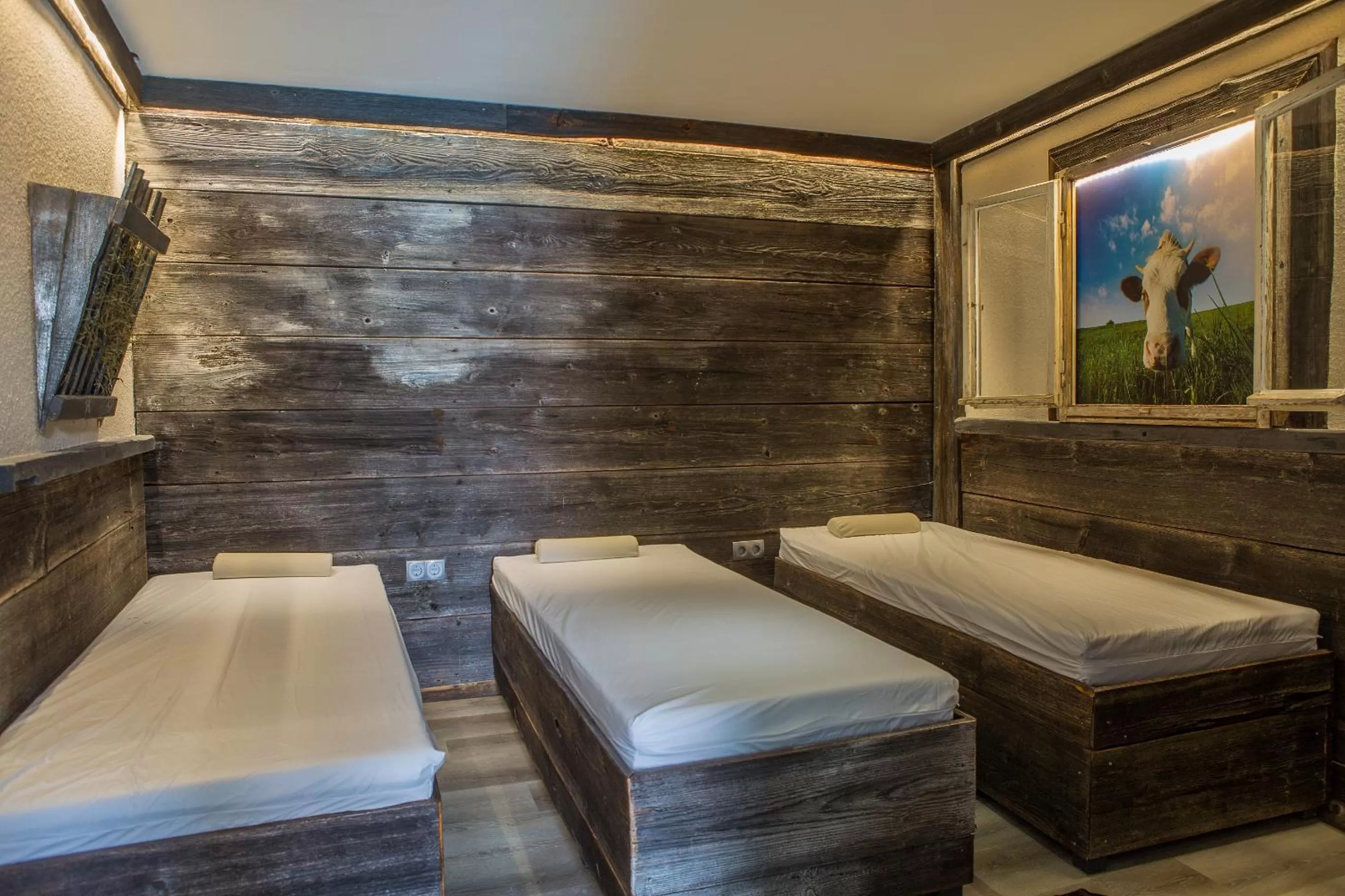 Sauna, Bed in Hotel zur Pfalz