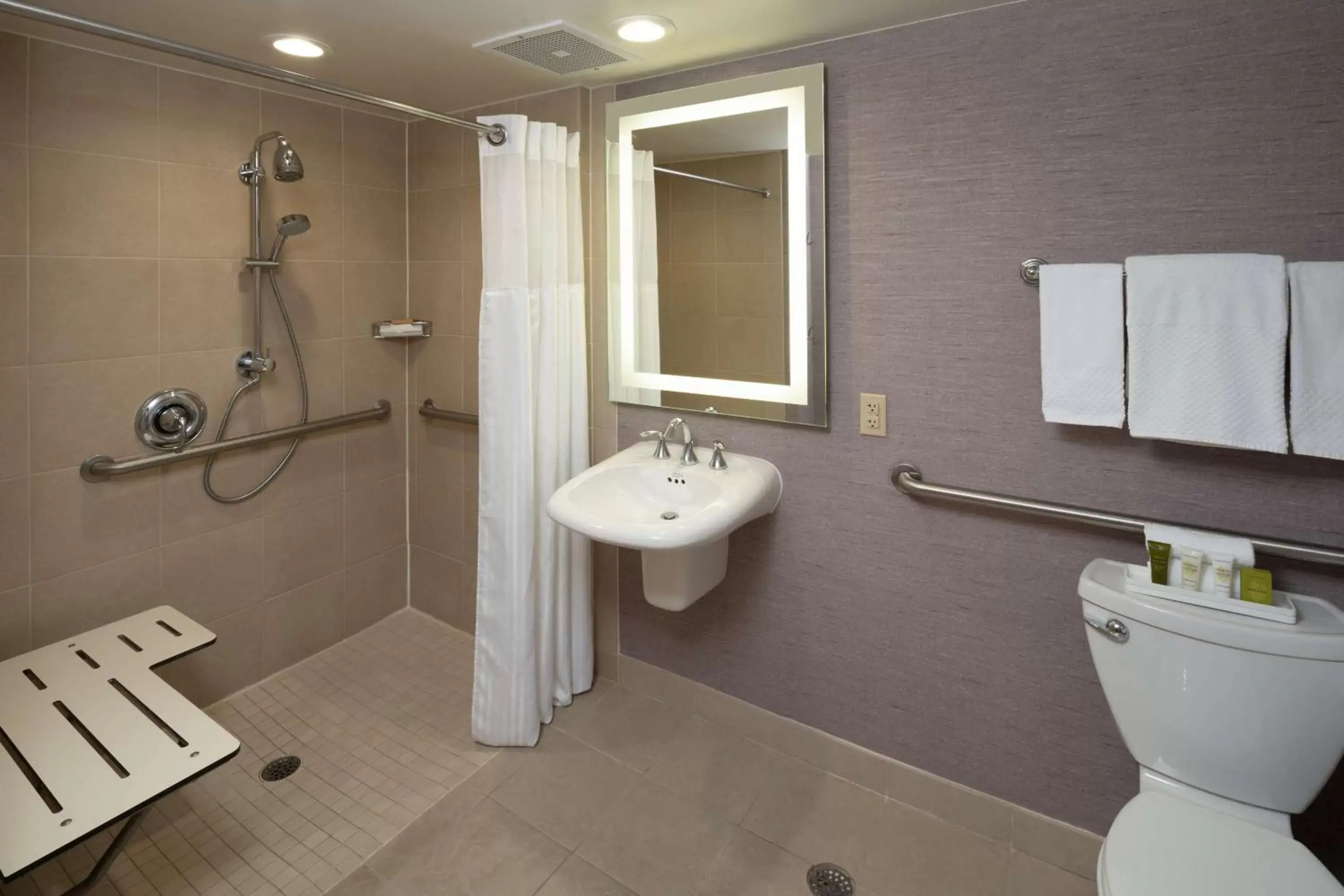 Bathroom in Hilton Washington DC/Rockville Hotel & Executive Meeting Center