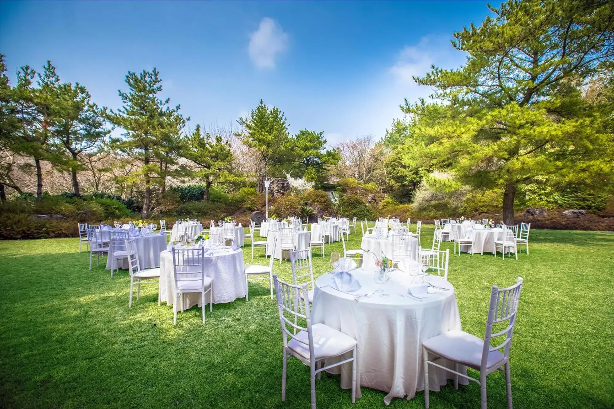 Natural landscape, Banquet Facilities in We Hotel Jeju