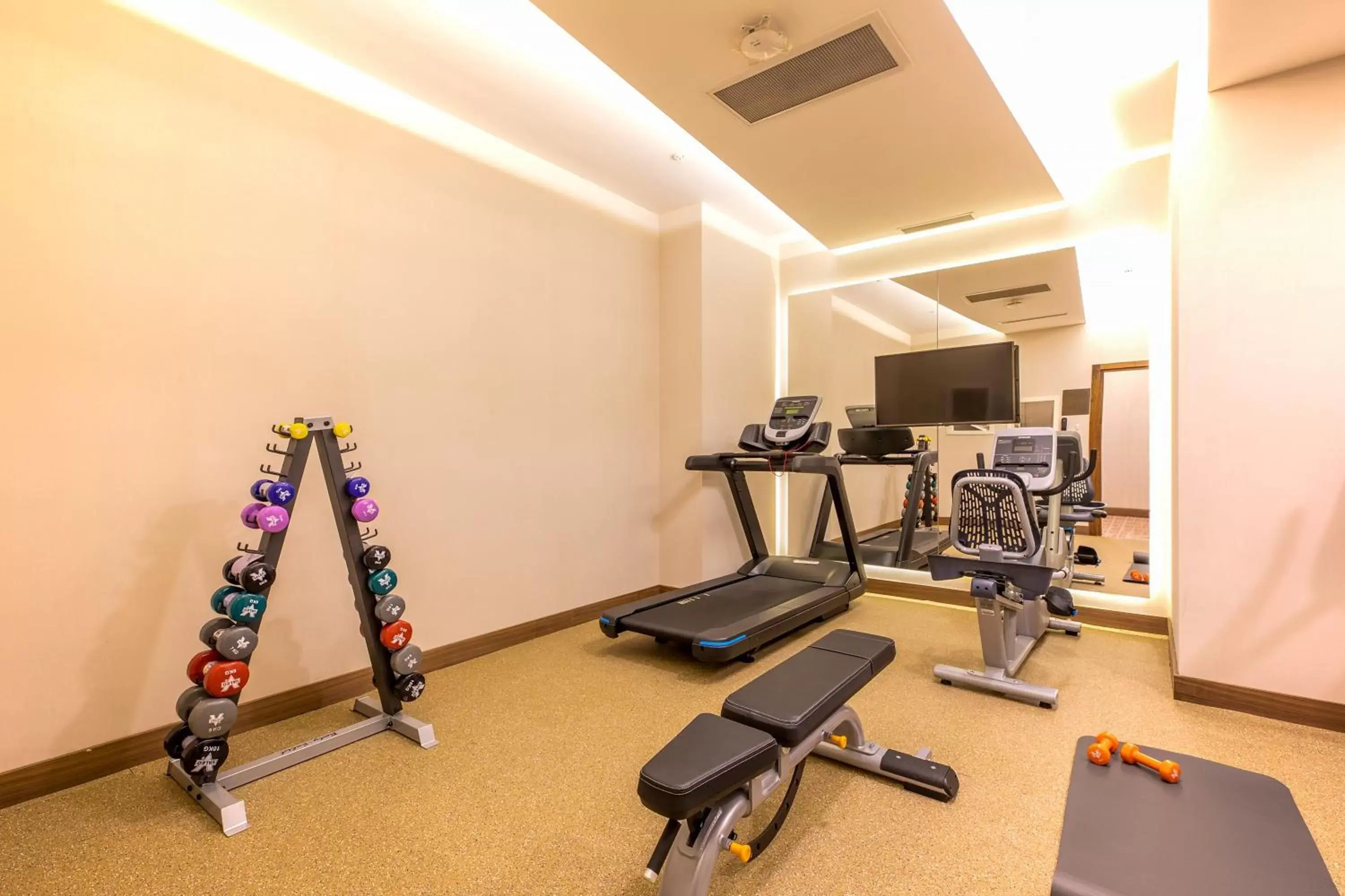 Fishing, Fitness Center/Facilities in Mercure Istanbul Sirkeci