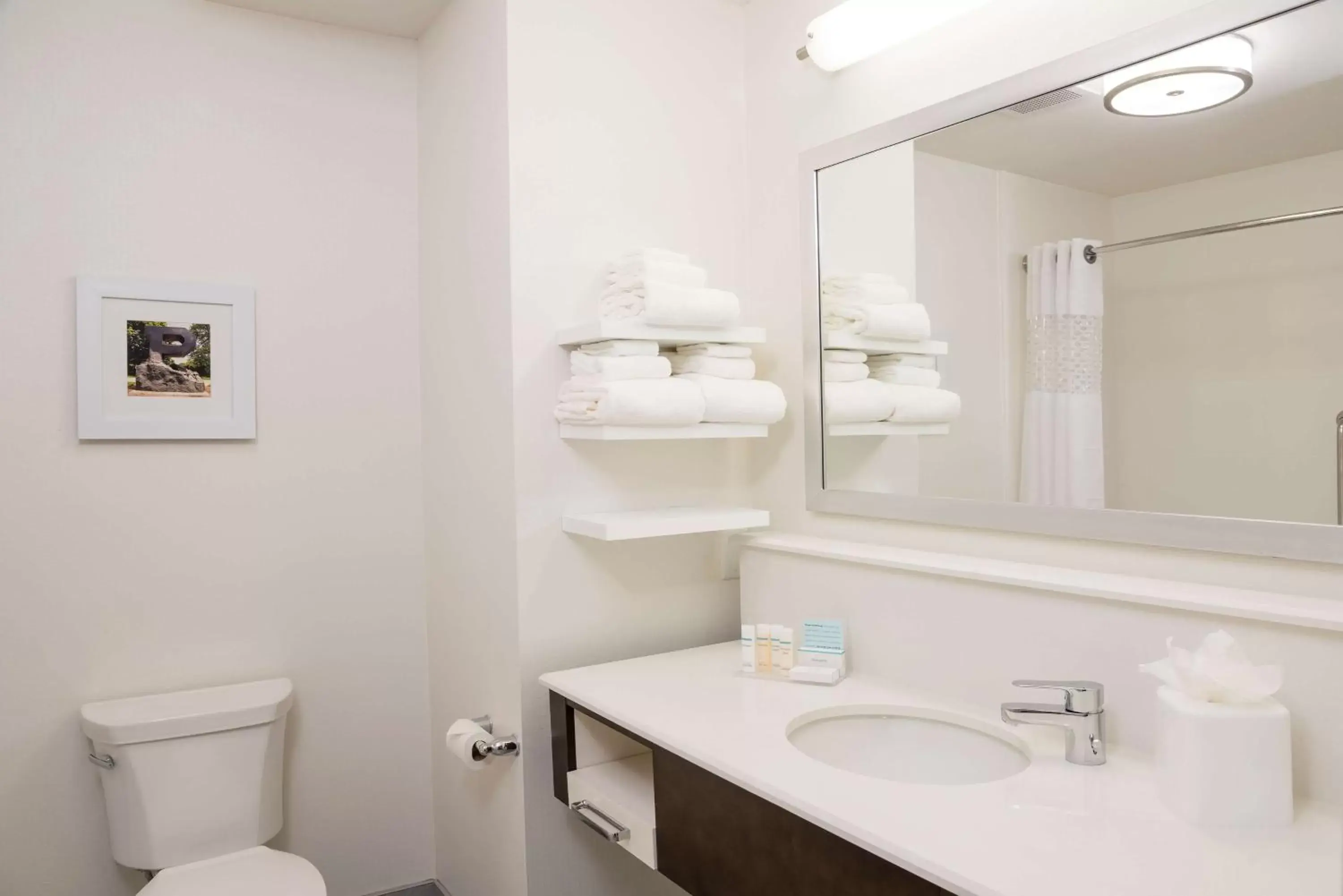 Bathroom in Hampton Inn & Suites West Lafayette, In