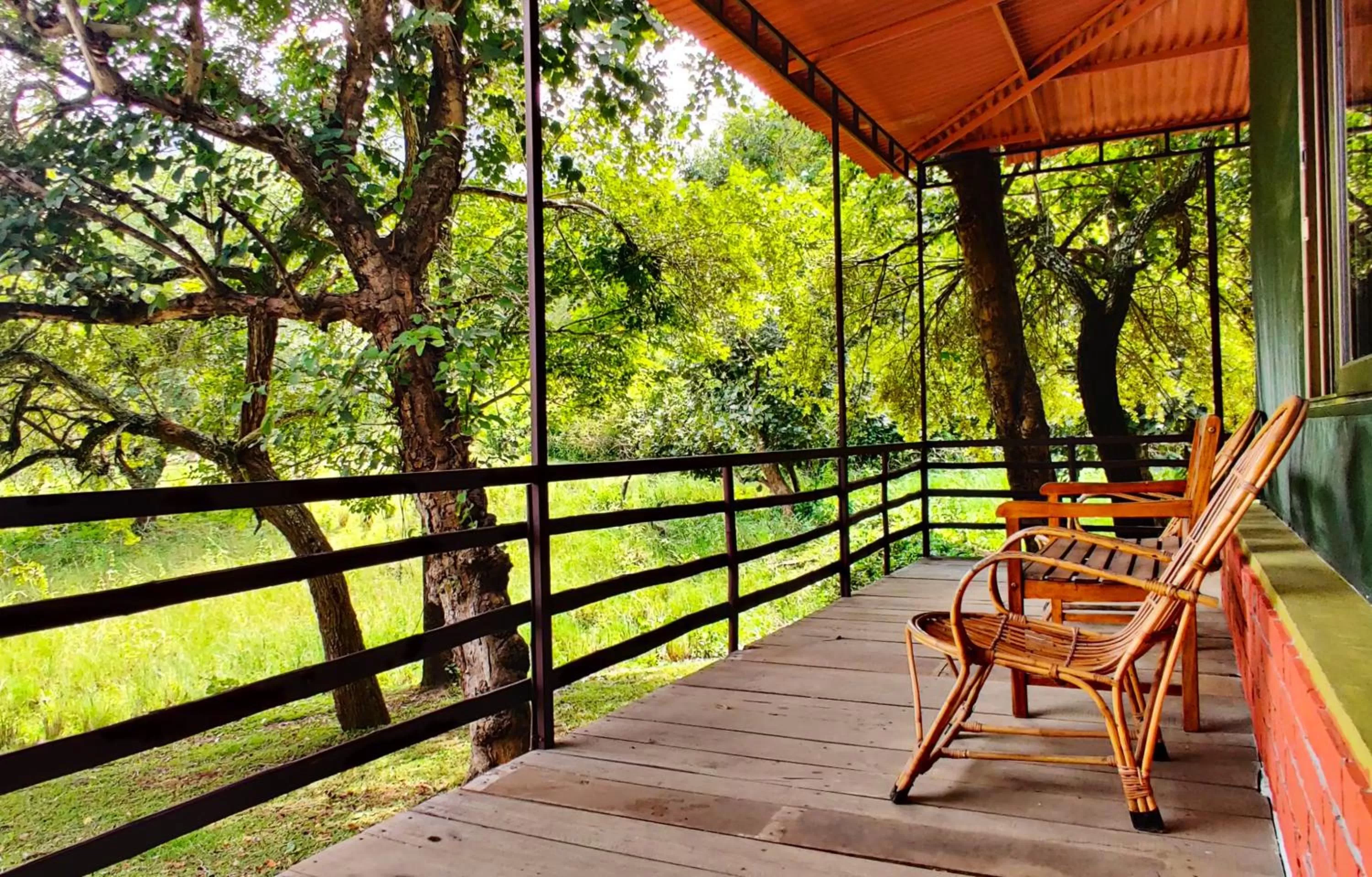 Seating area in Jungle Hut Resort